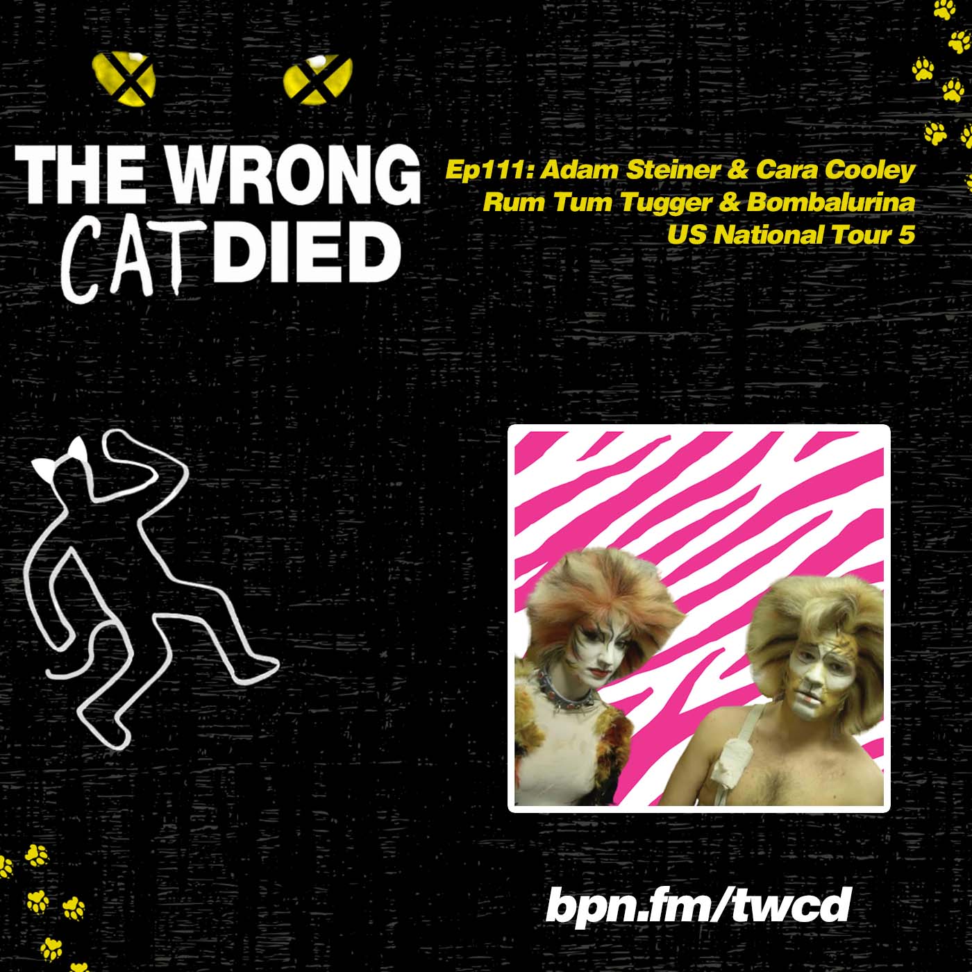 Ep111 - Adam Steiner & Cara Cooley, Rum Tum Tugger & Bombalurina on US National Tour 5 episode artwork