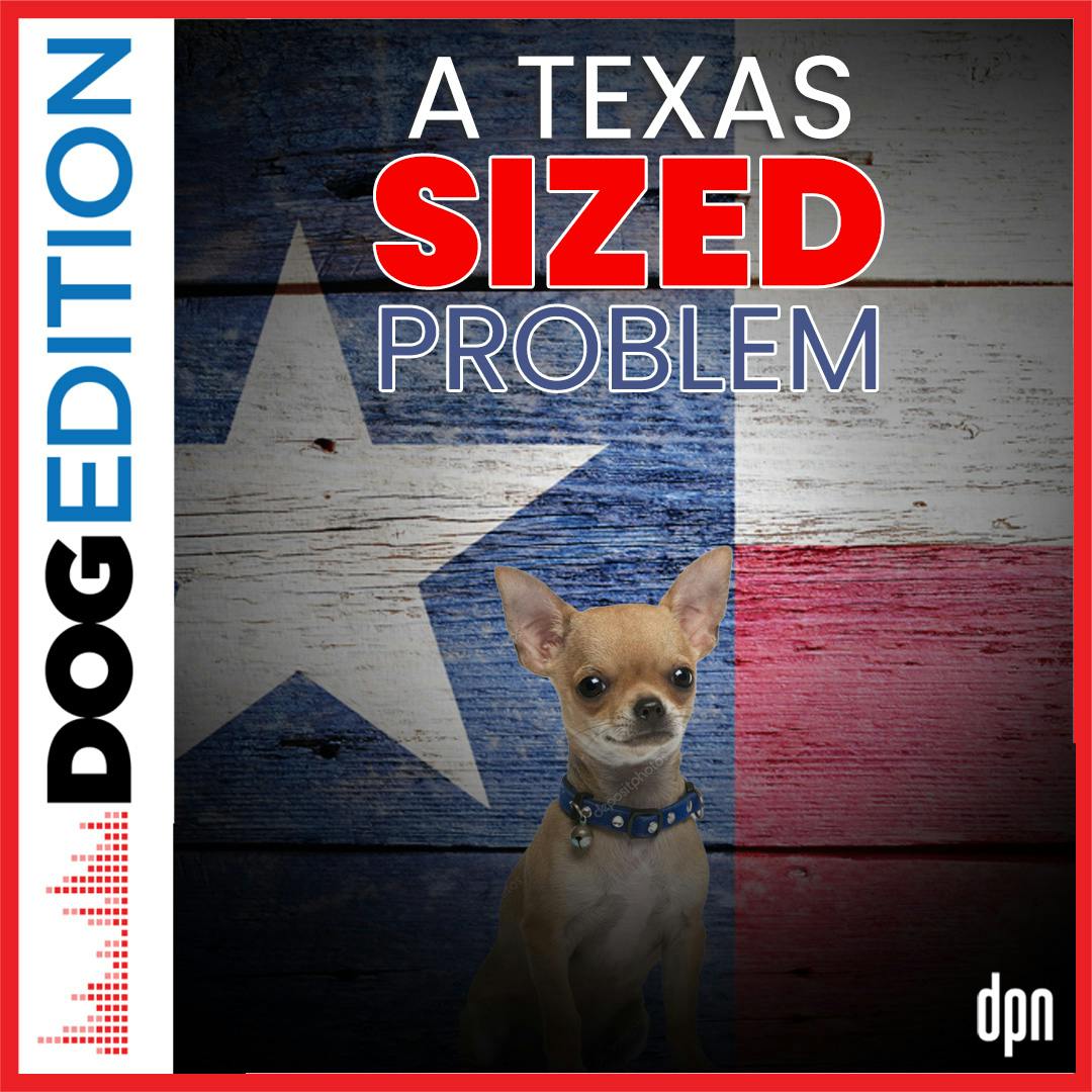 A Texas Sized Problem | Dog Edition #50