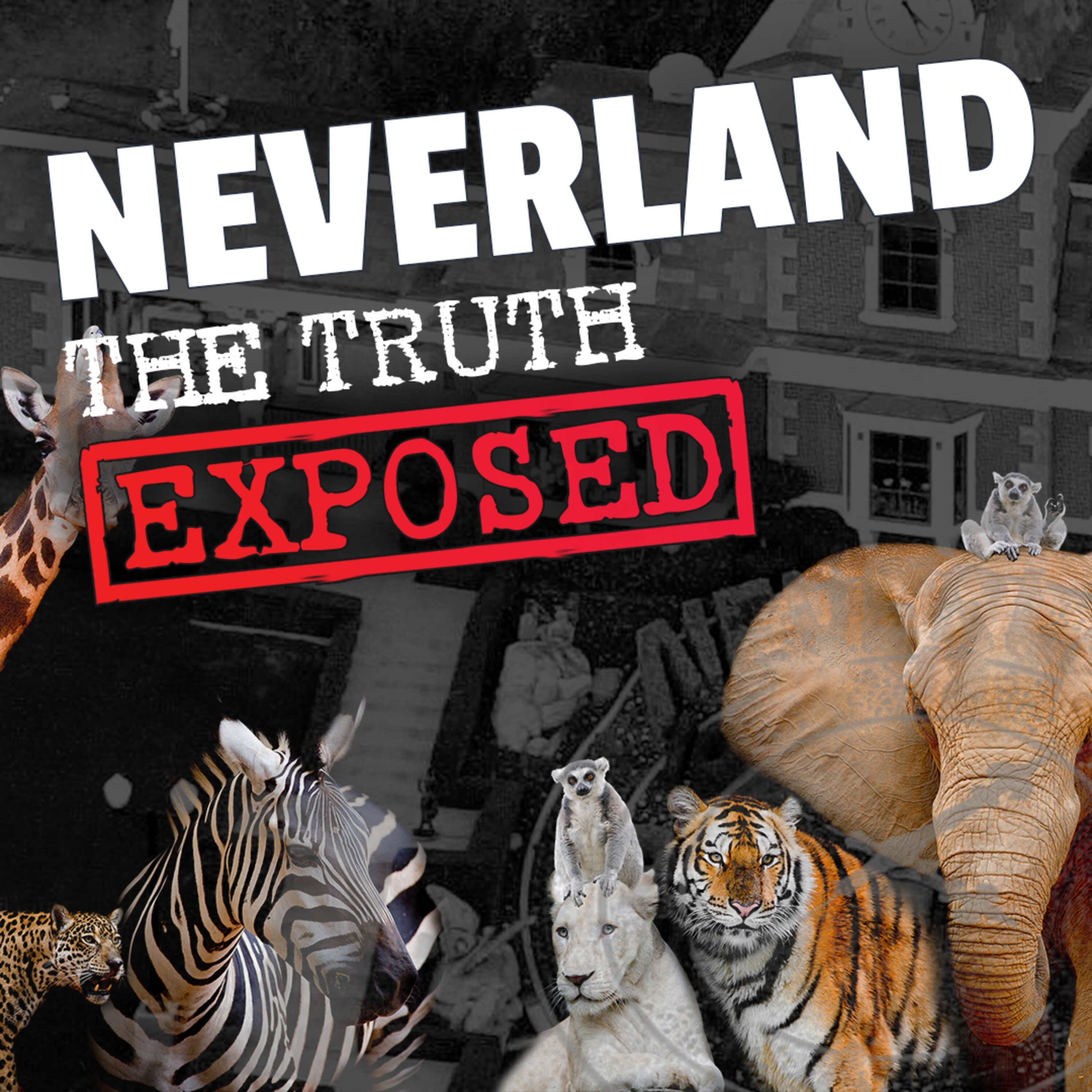 The Matt Fiddes Show