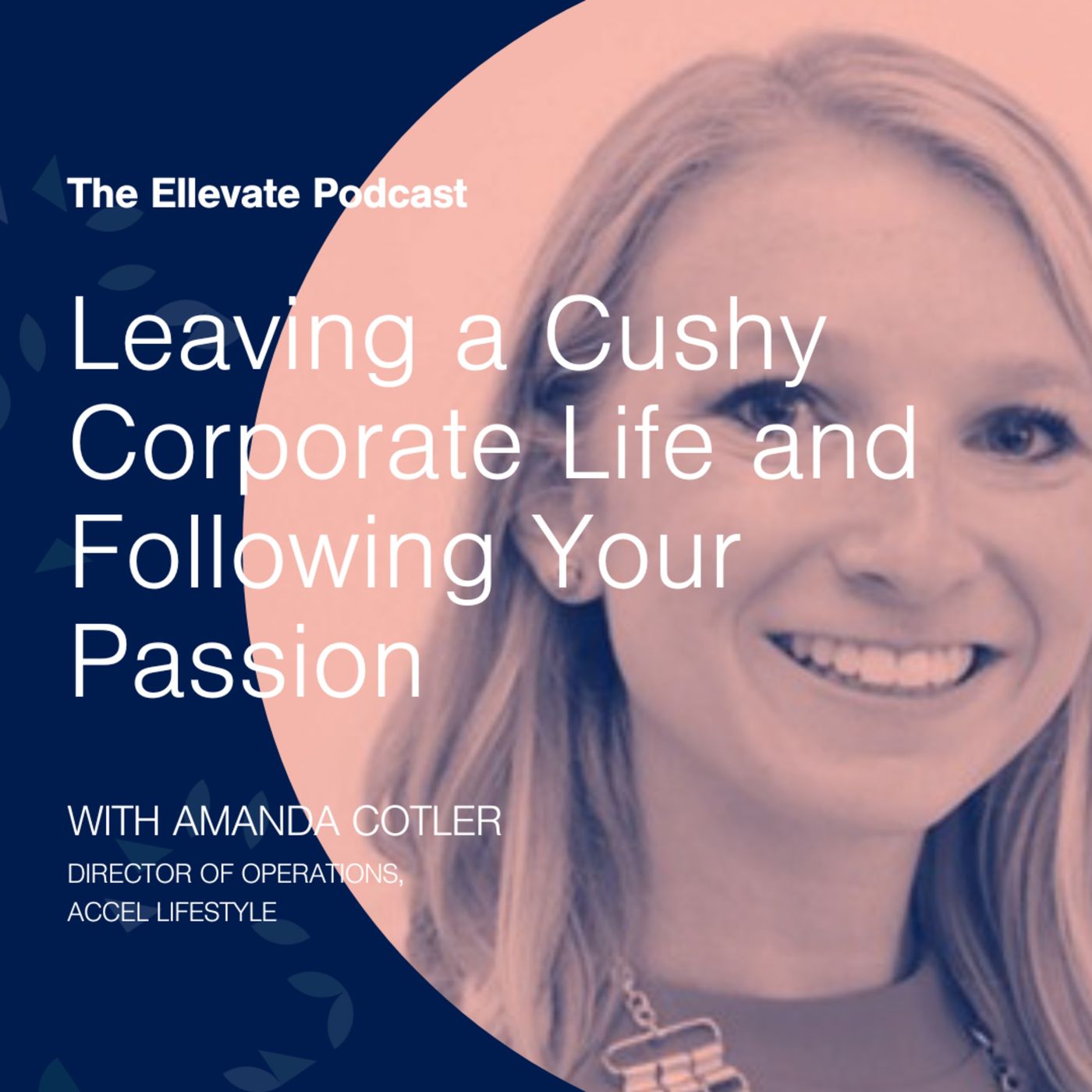 Episode 330: Leaving a Cushy Corporate Life and Following Your Passion, with Amanda Cotler episode artwork
