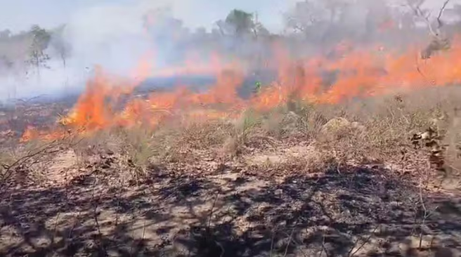 Força-tarefa combate incêndio de grandes proporções no Parque Nacional Grande Sertão Veredas