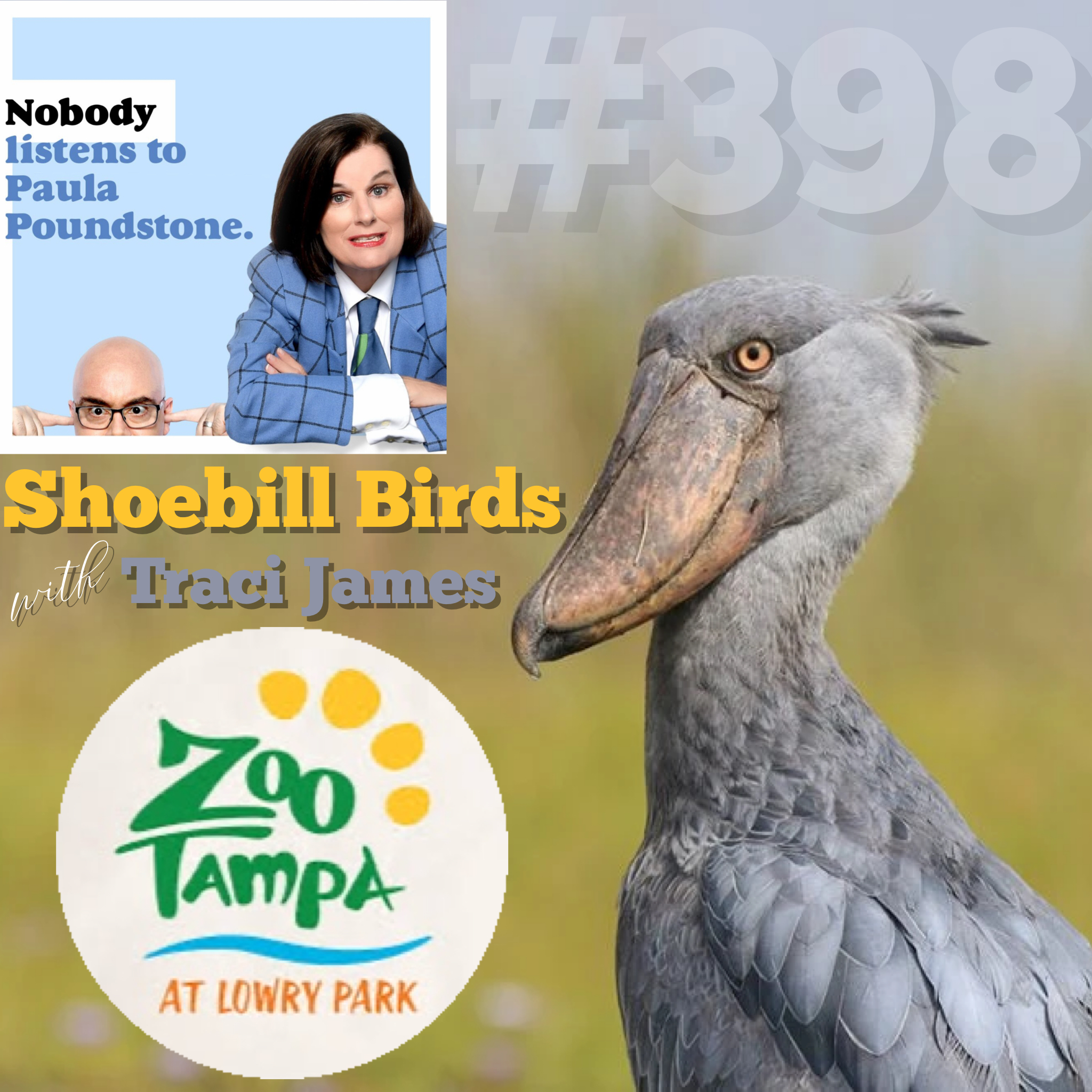 EP 398: Shoebill Birds with Traci James