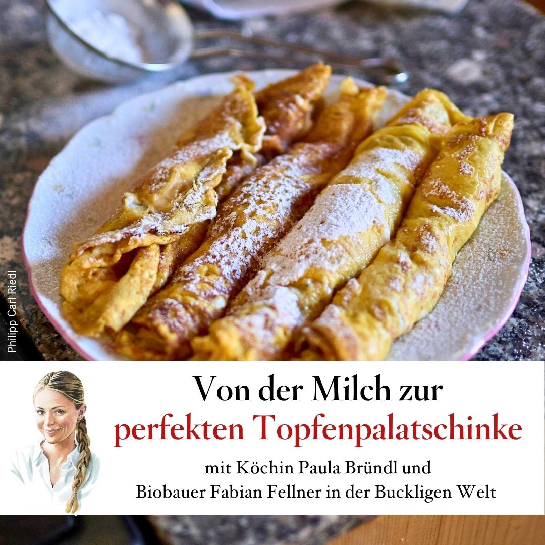 Von der Milch zur perfekten Topfenpalatschinke – mit Paula Bründl und Biobauer Fabian Fellner
