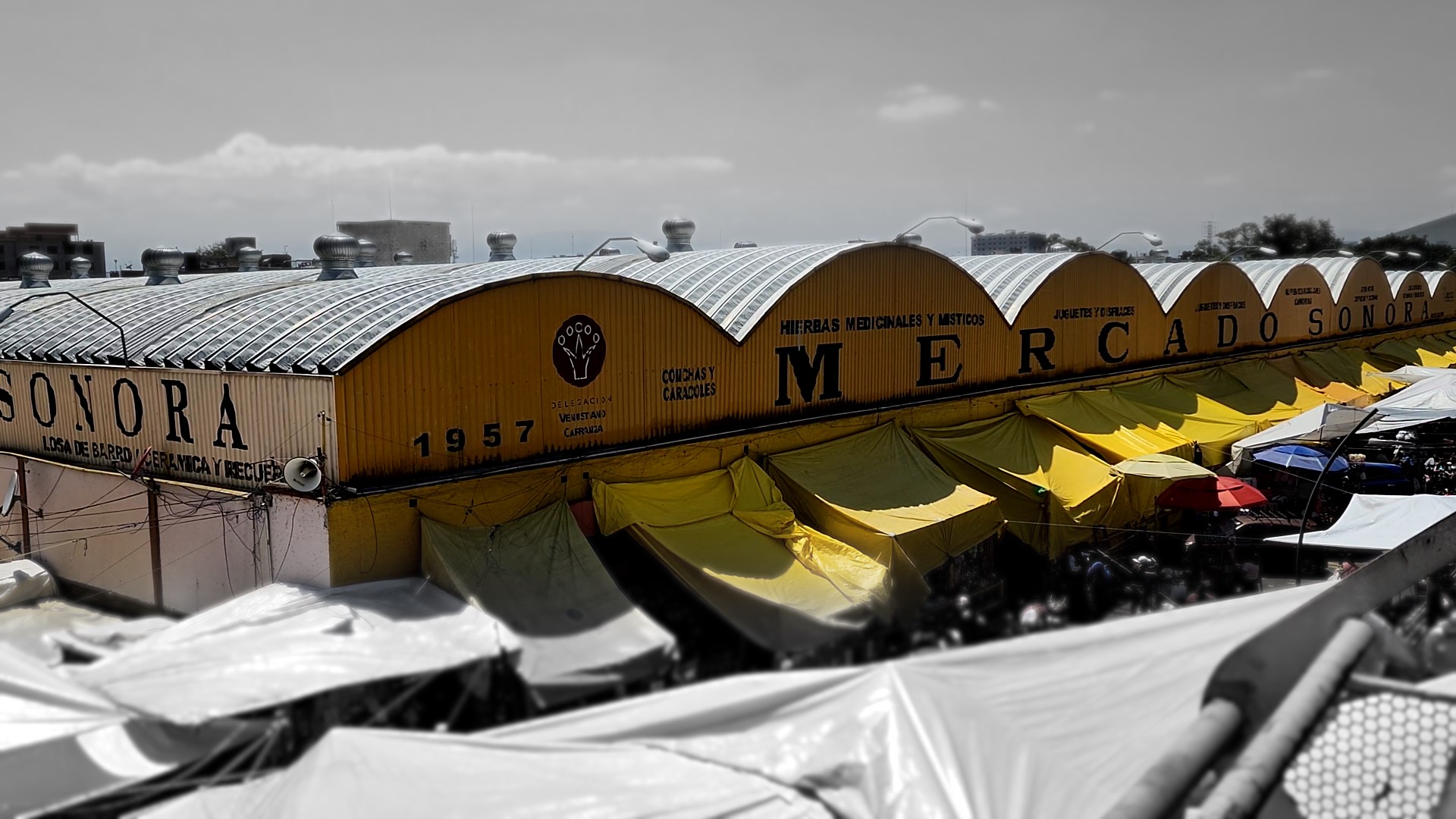 UNA NOCHE EN EL MERCADO DE SONORA - RELATOS ATERRADORES EN LA MERCED
