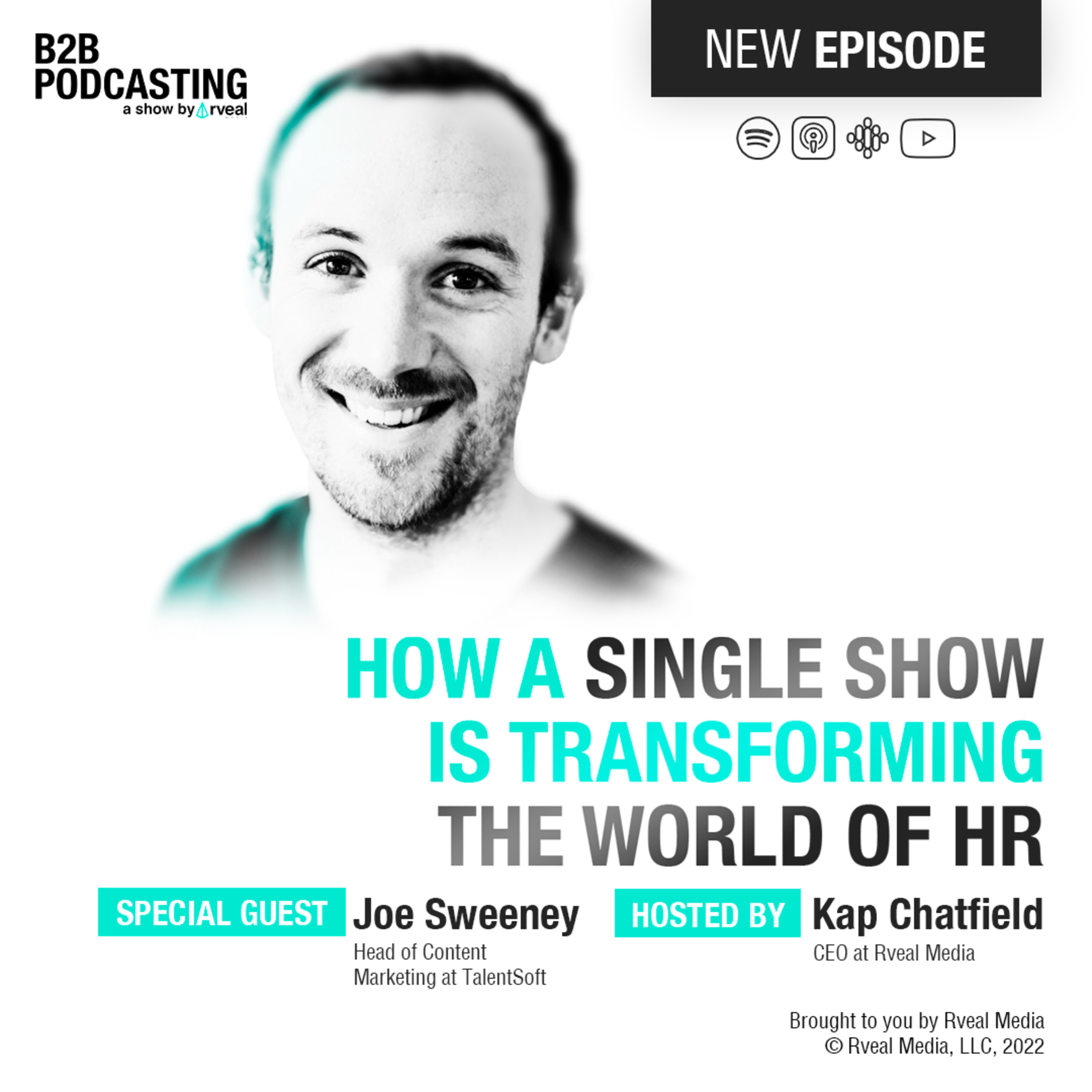 B2B Podcasting | A show about the ultimate B2B sales & marketing strategy