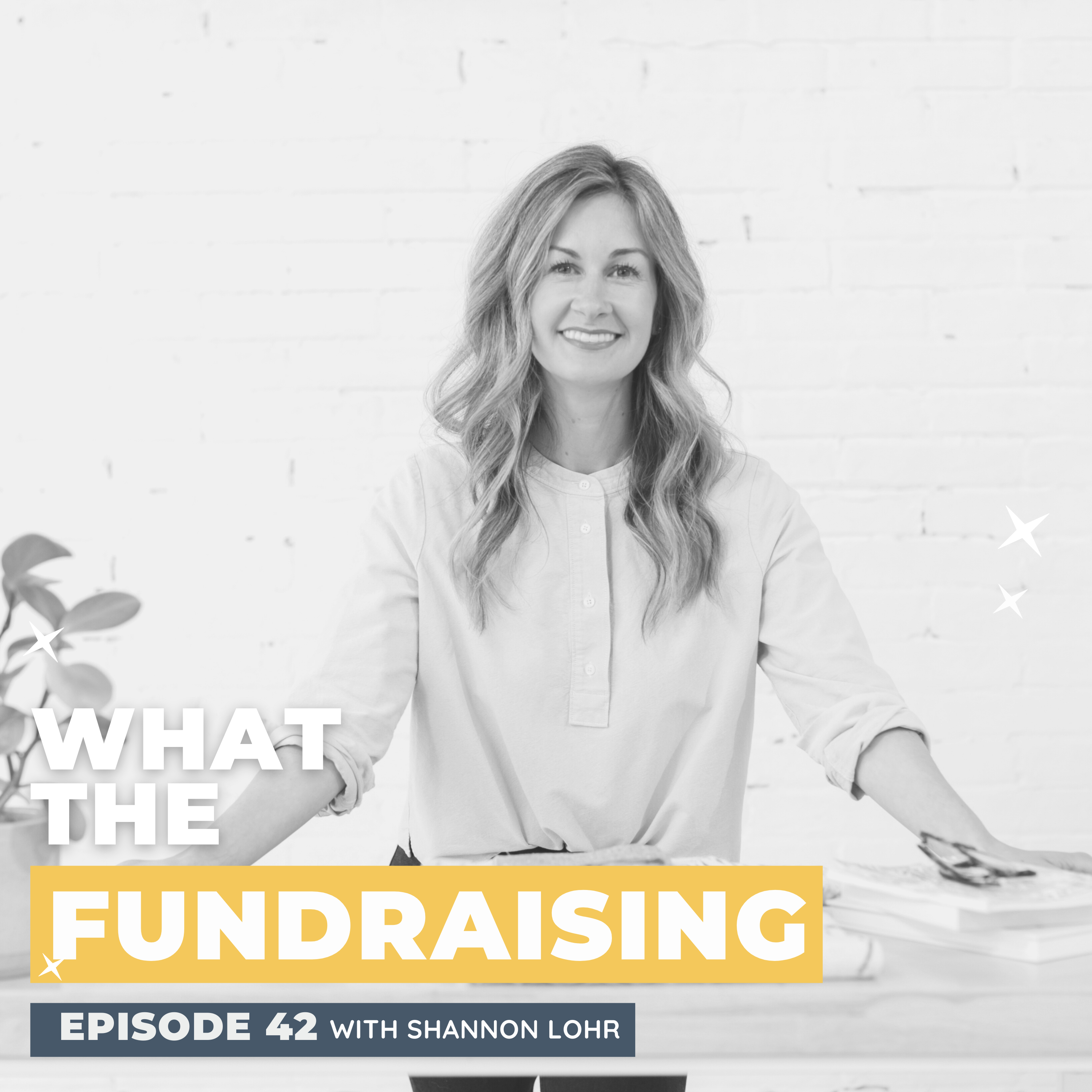 42. Factory45’s Roadmap for Building A Sustainable Business and How it Relates to Your Nonprofit with Shannon Lohr episode artwork