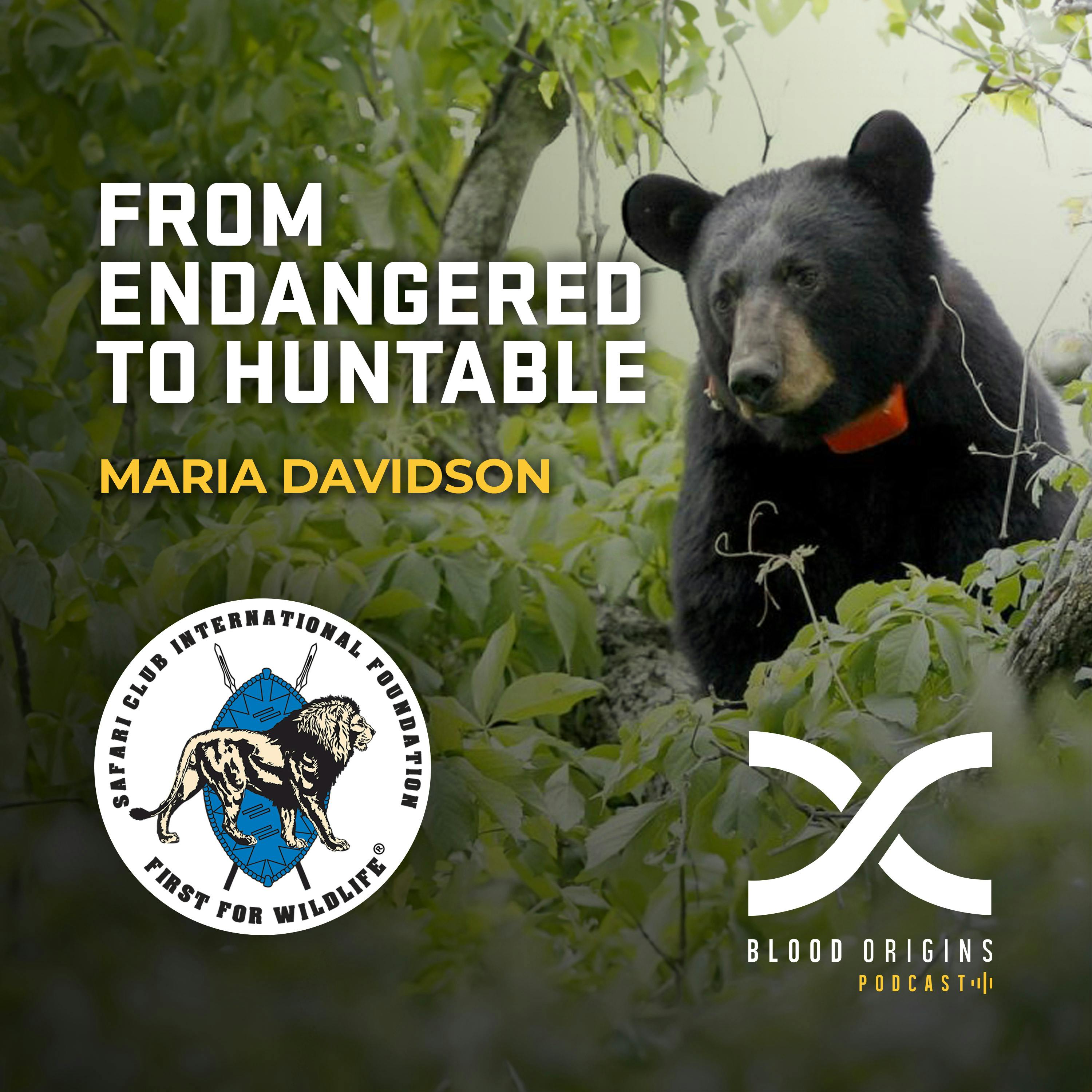 Episode 502 - Maria Davidson || Louisiana Black Bear: Endangered to Huntable Pt. 1