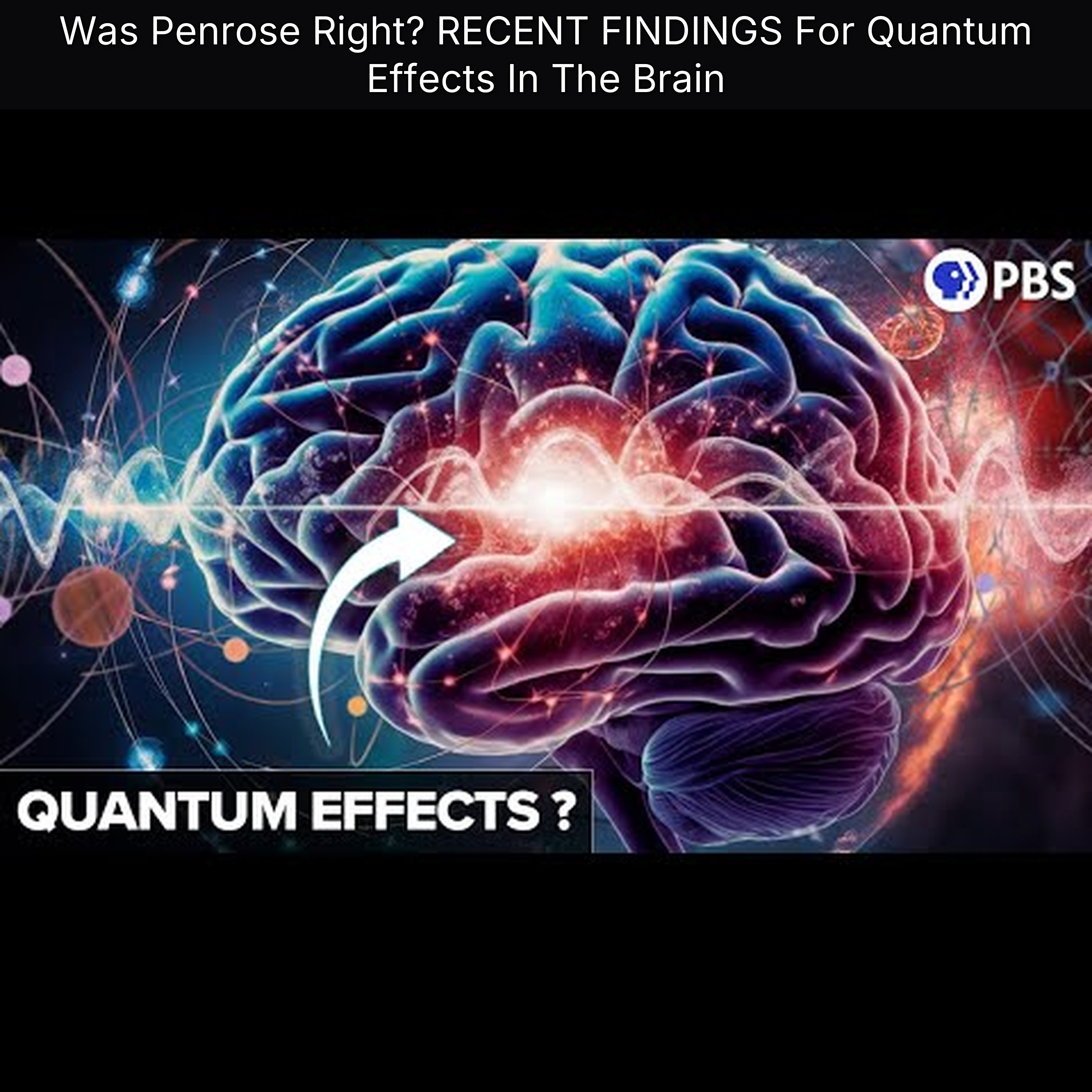 Was Penrose Right? RECENT FINDINGS For Quantum Effects In The Brain