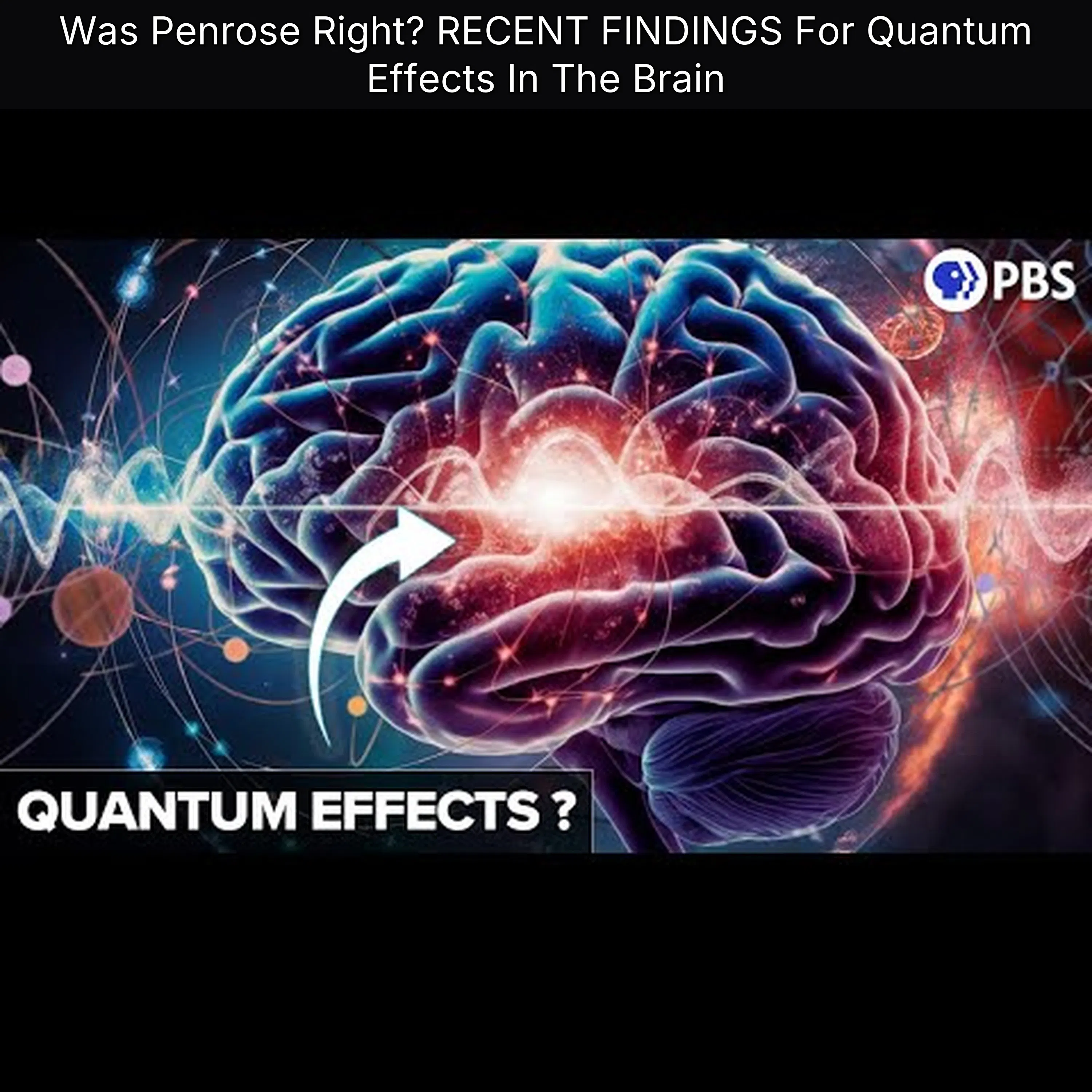 Was Penrose Right? RECENT FINDINGS For Quantum Effects In The Brain