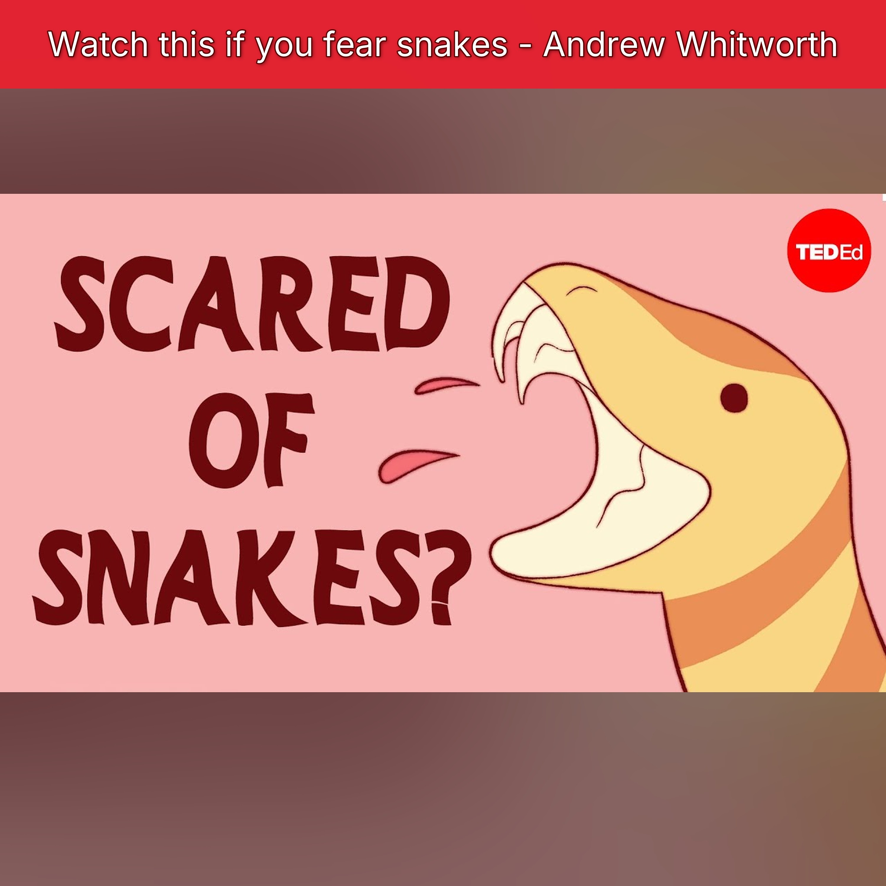 Watch this if you fear snakes - Andrew Whitworth episode artwork