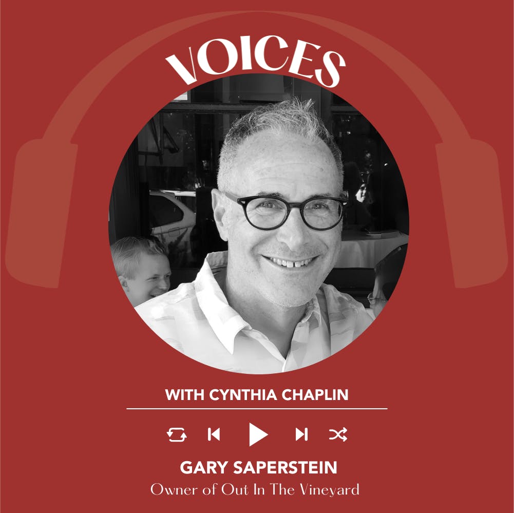 Ep. 2223 Gary Saperstein | Voices With Cynthia Chaplin