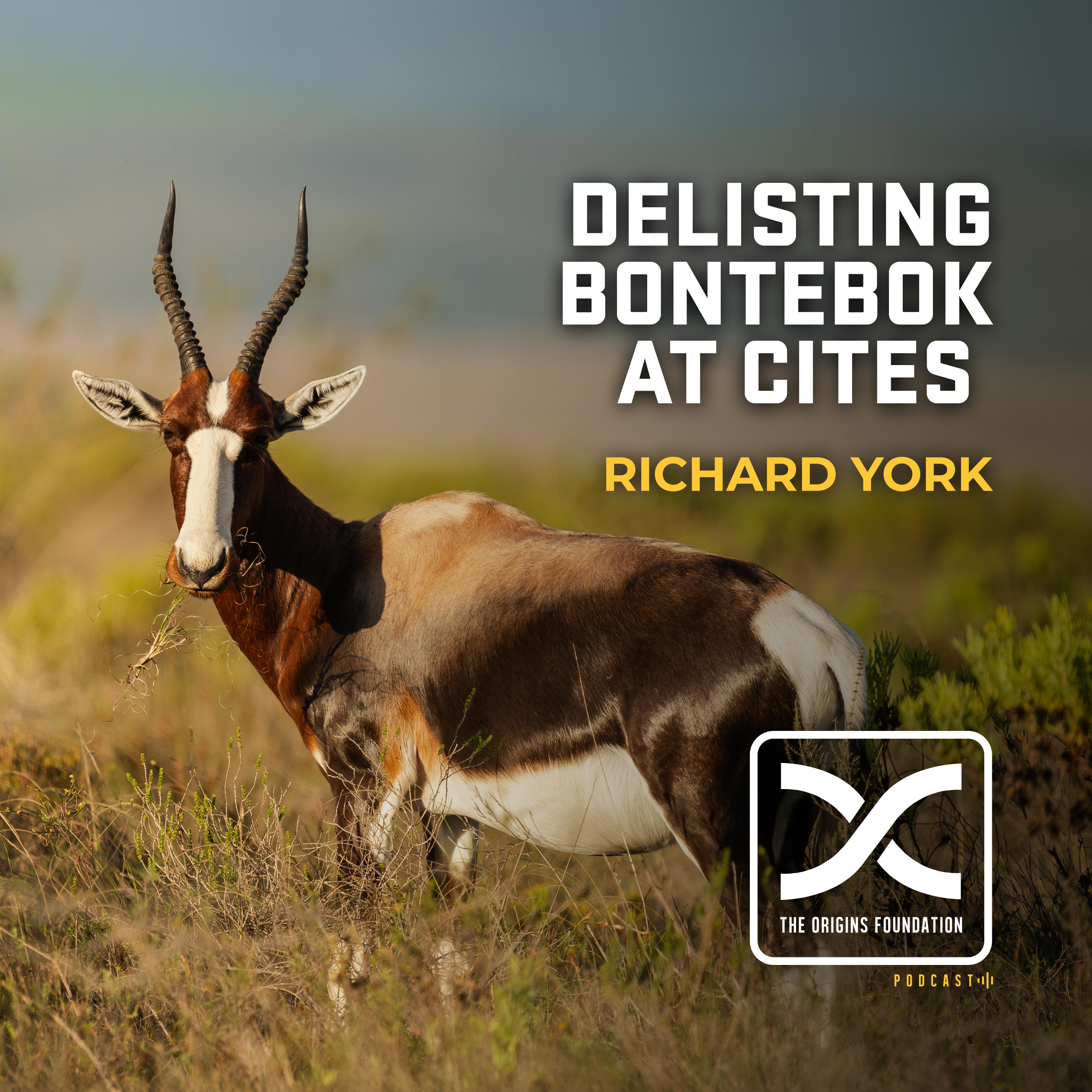 Episode 595 - Richard York || Delisting Bontebok At CITES