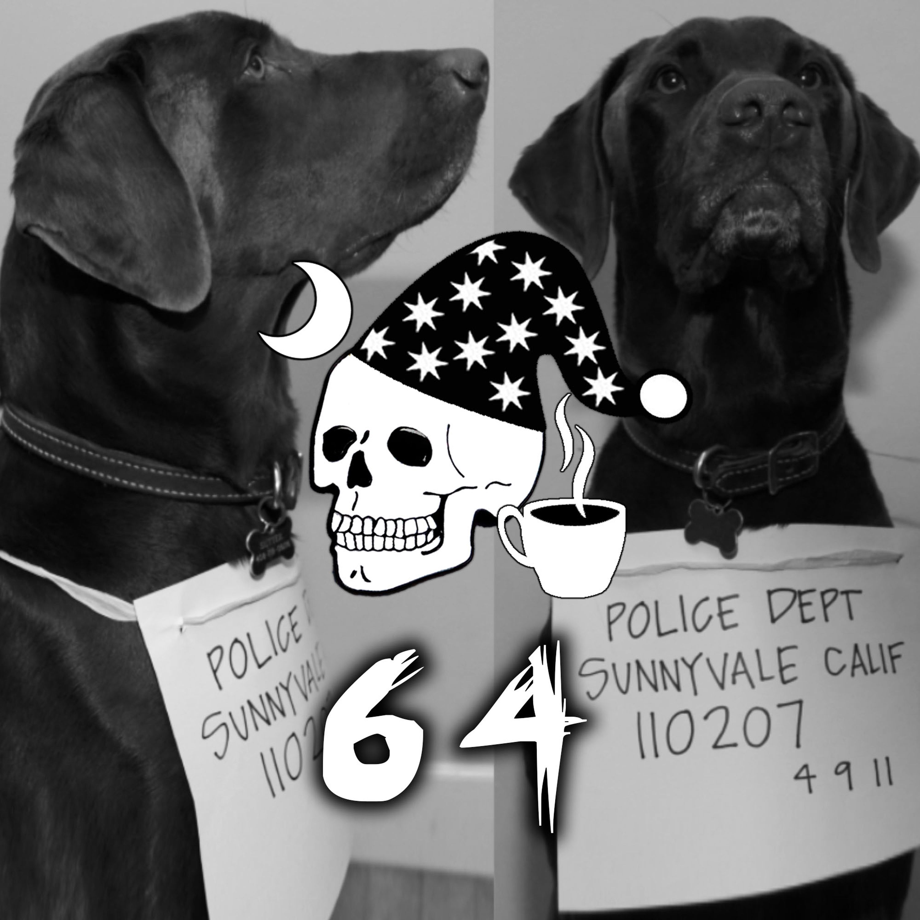 Ep.64: Animales arrestados y la maldición de Sigurd