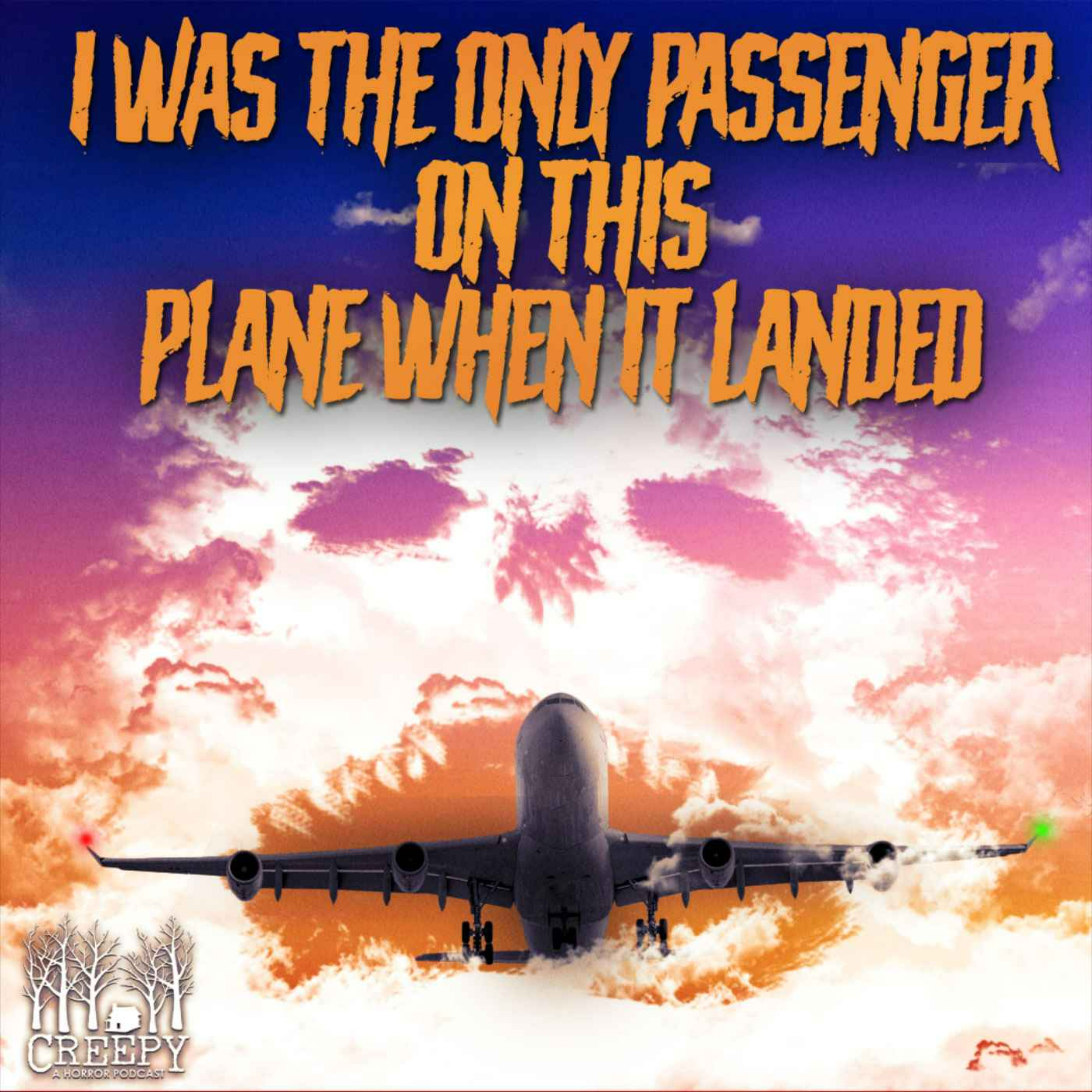 I Was The Only Passenger On This Plane When It Landed...