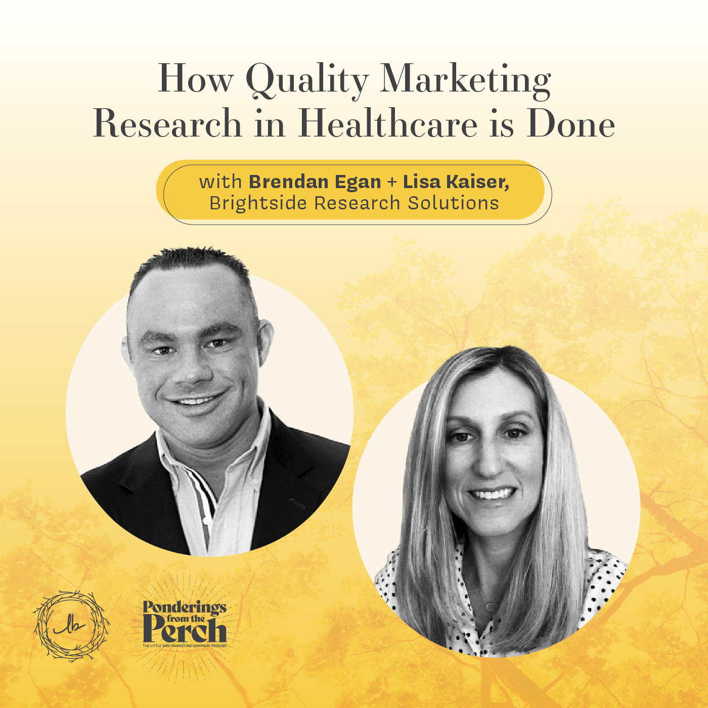 How Quality Marketing Research in Healthcare is Done episode artwork