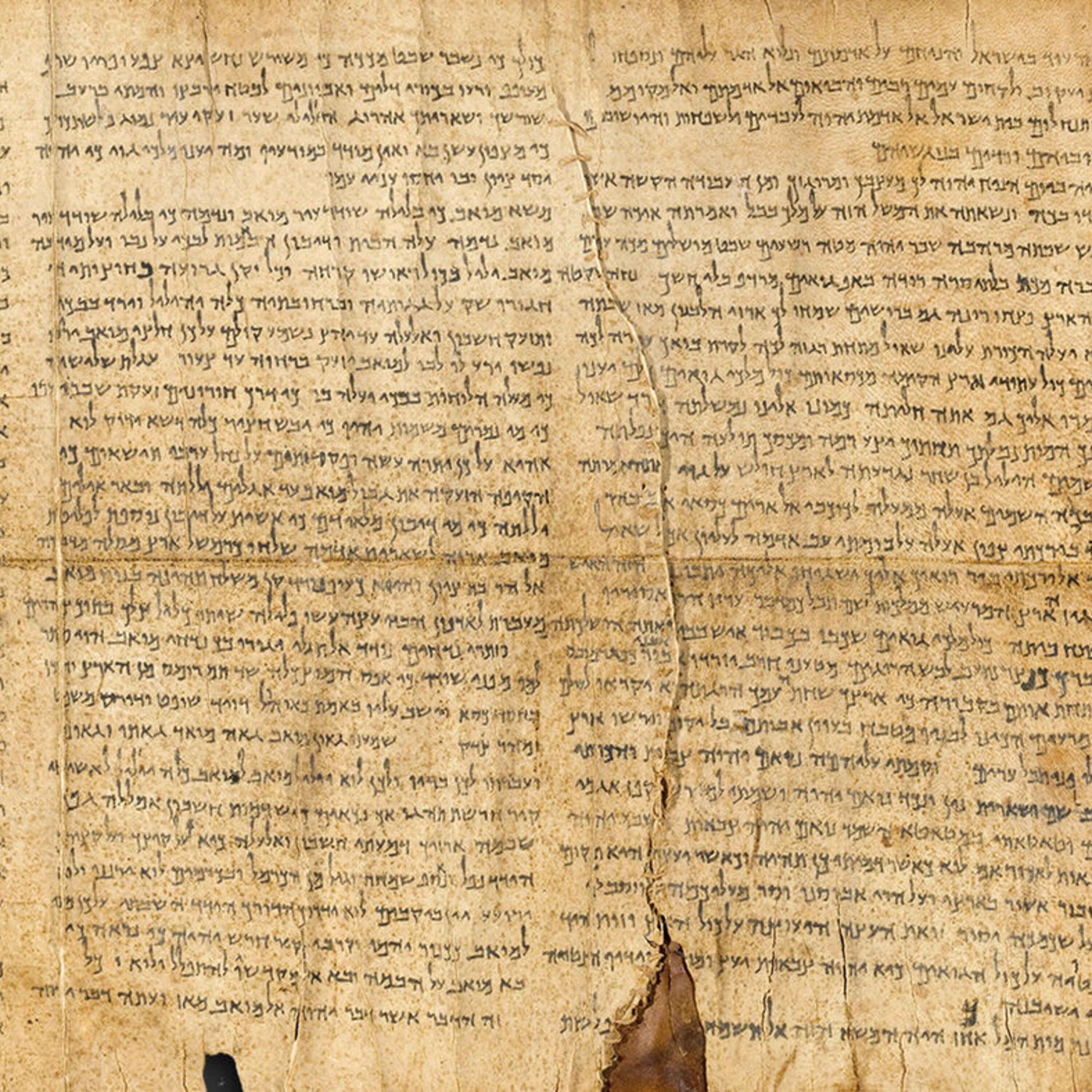 LIGO spots merging neutron stars, scholarly questions about a new Bible museum, and why wolves are better team players than dogs