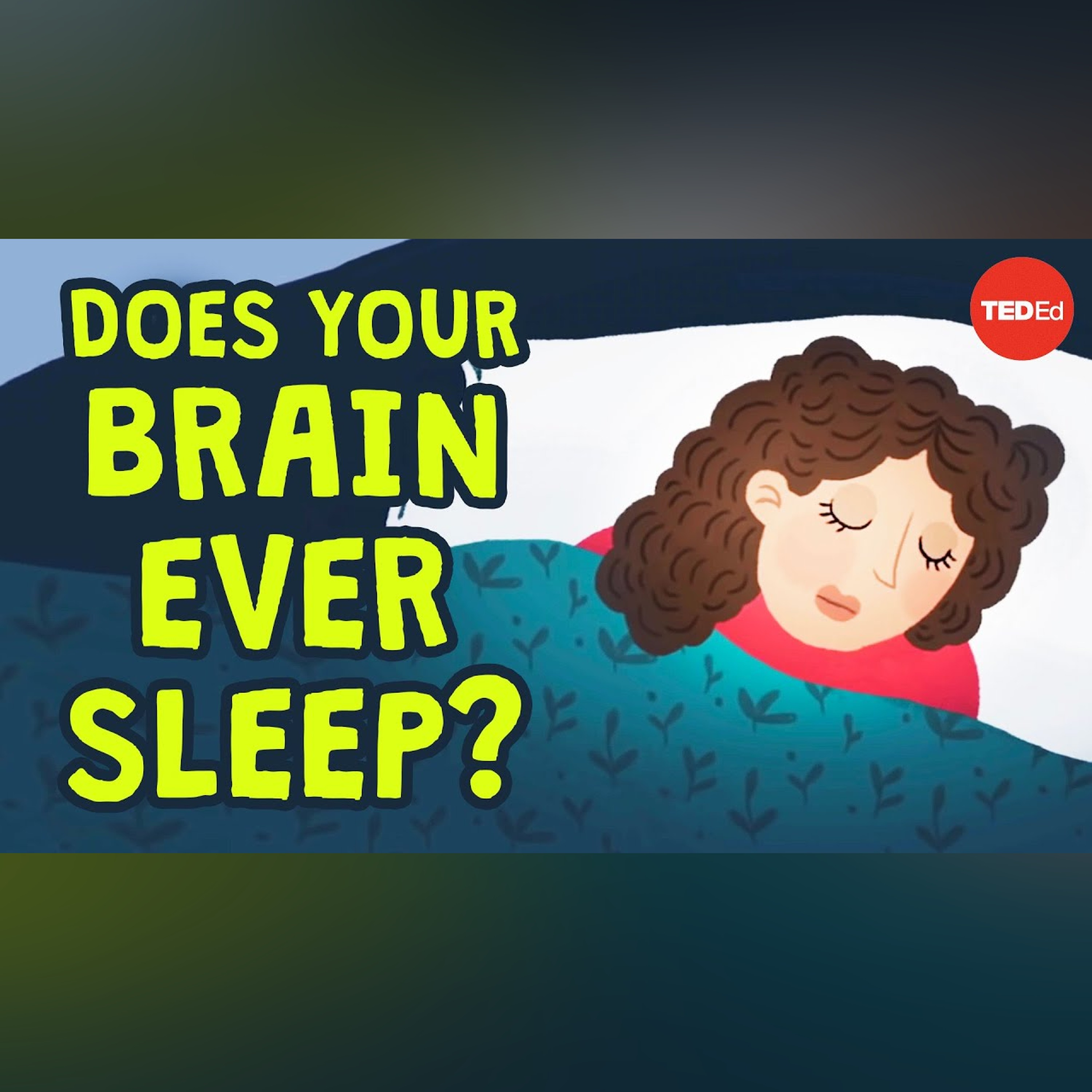 Can you be awake and asleep at the same time? - Masako Tamaki