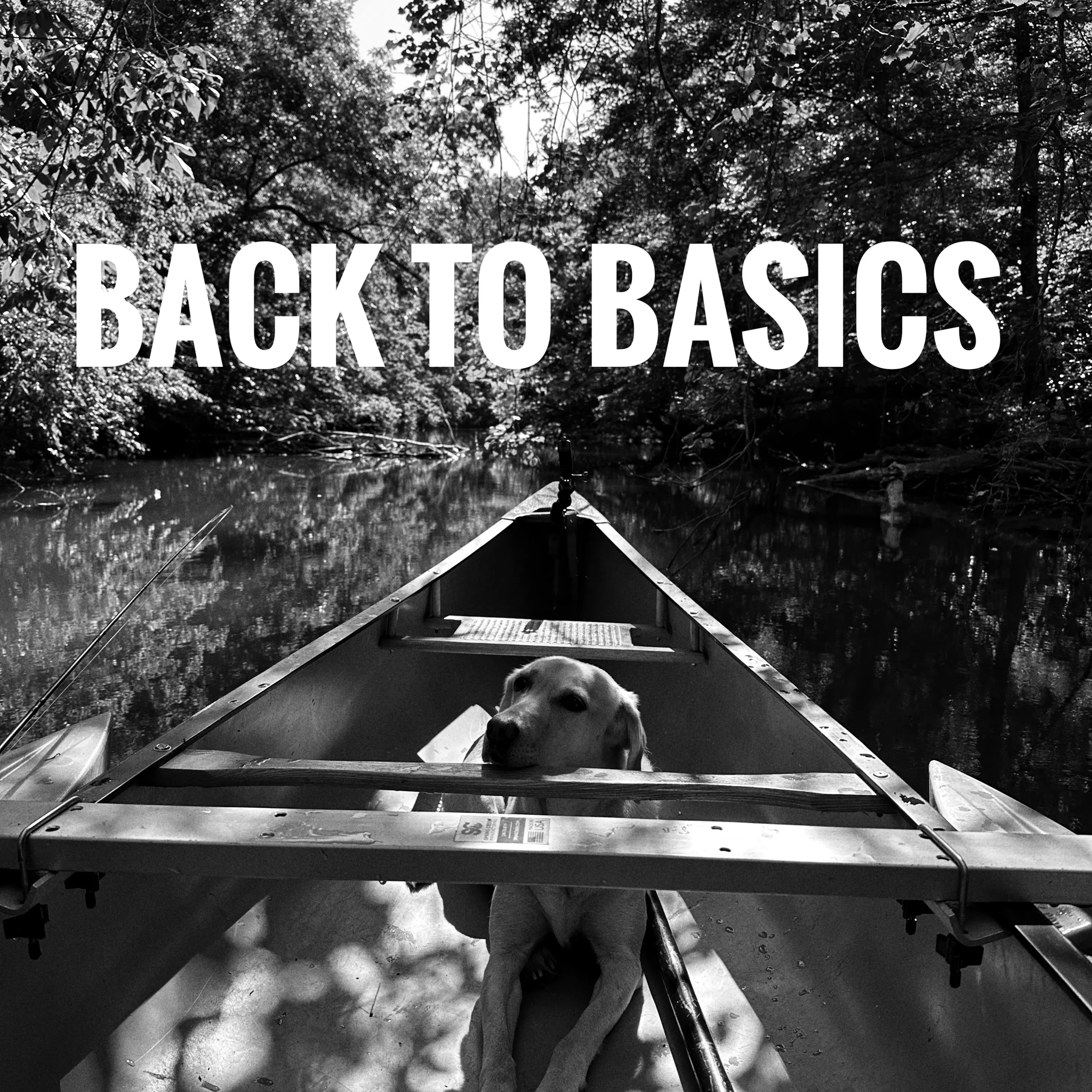 Back to Basics episode artwork