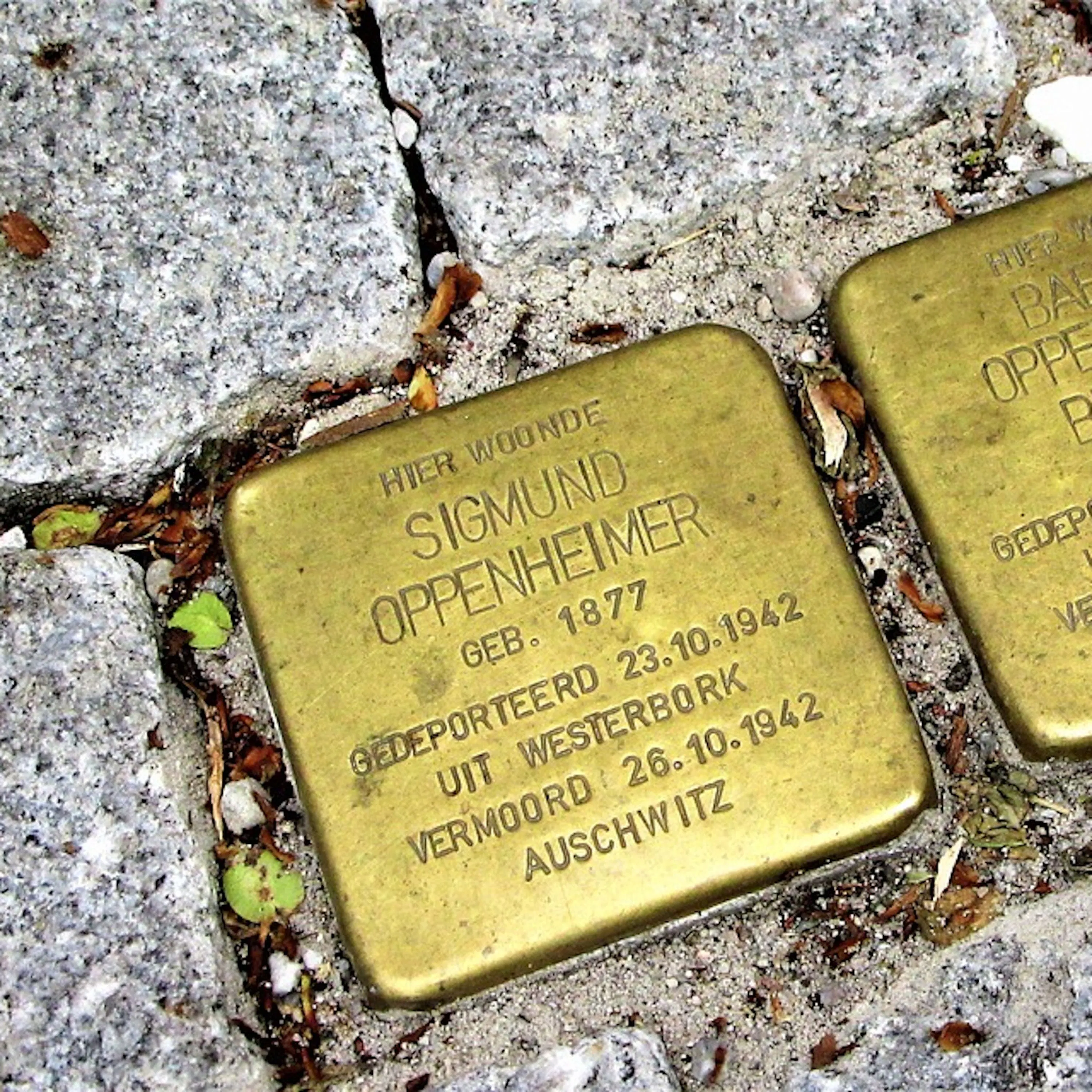 Qu'est-ce que le négationnisme ?