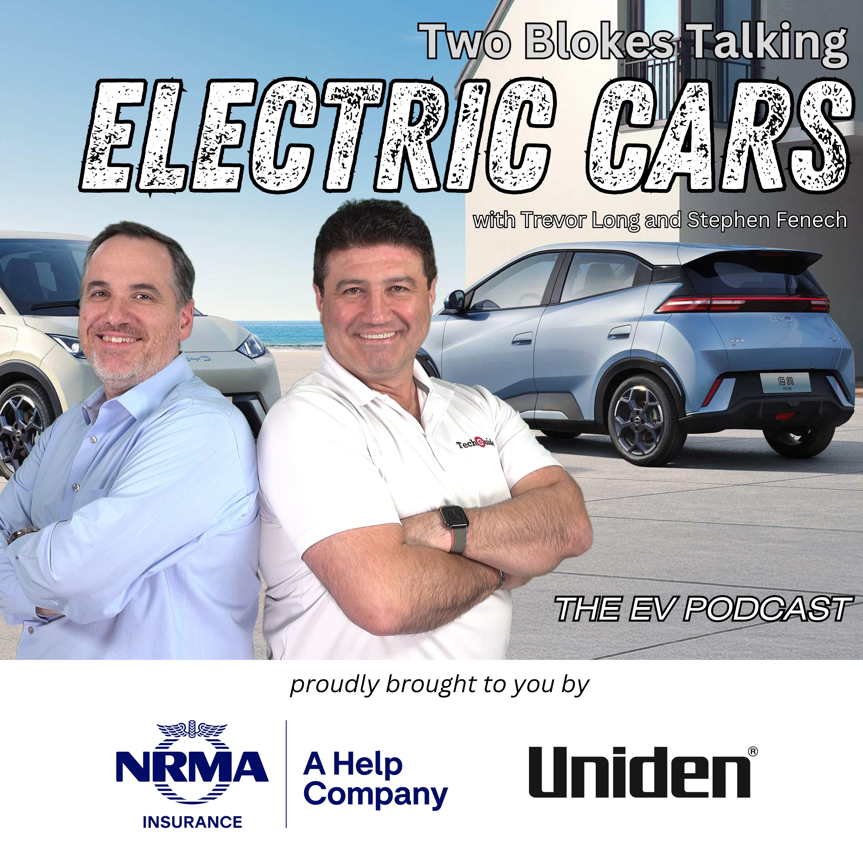 Electric Cars: The Seagull for Australia?