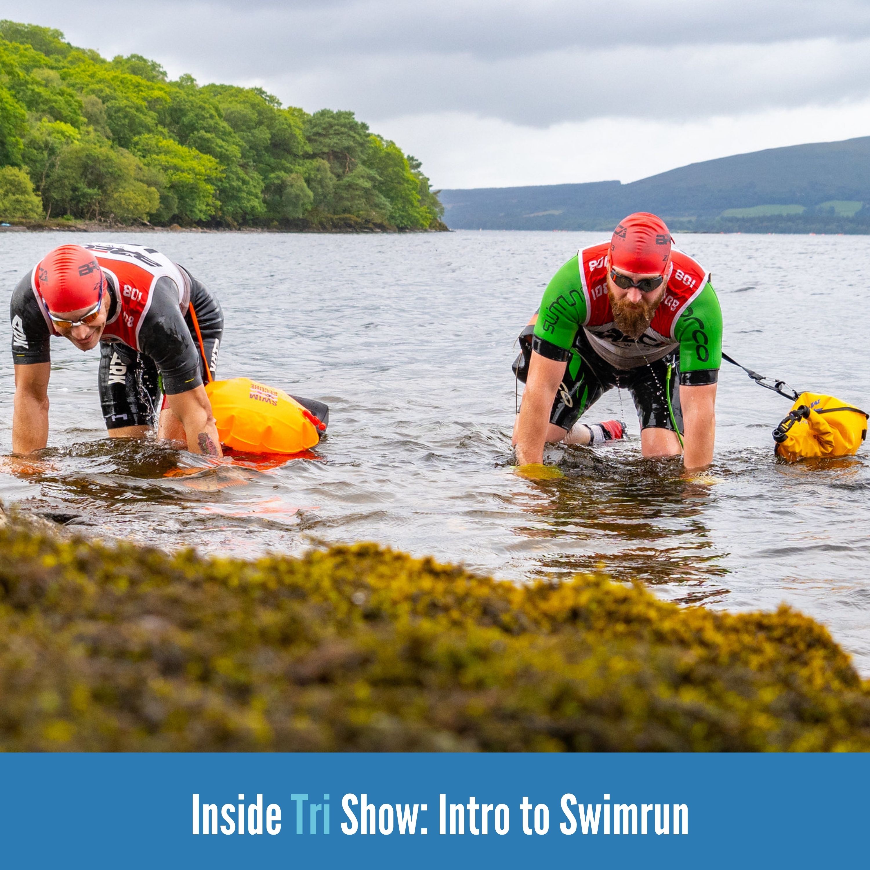 Inside Tri Show