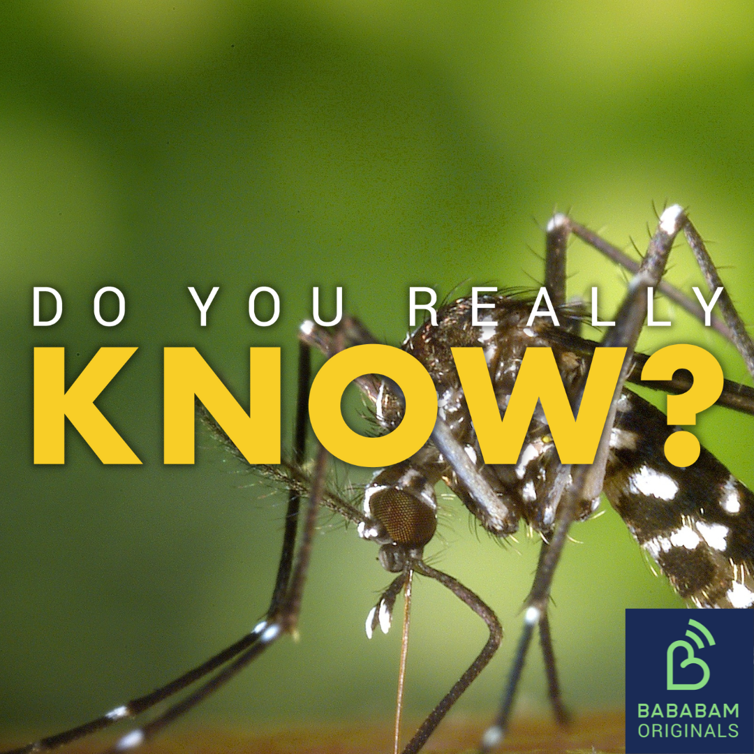 Why do I attract mosquitoes more than other people? Do you really know? Lyssna här Podtail