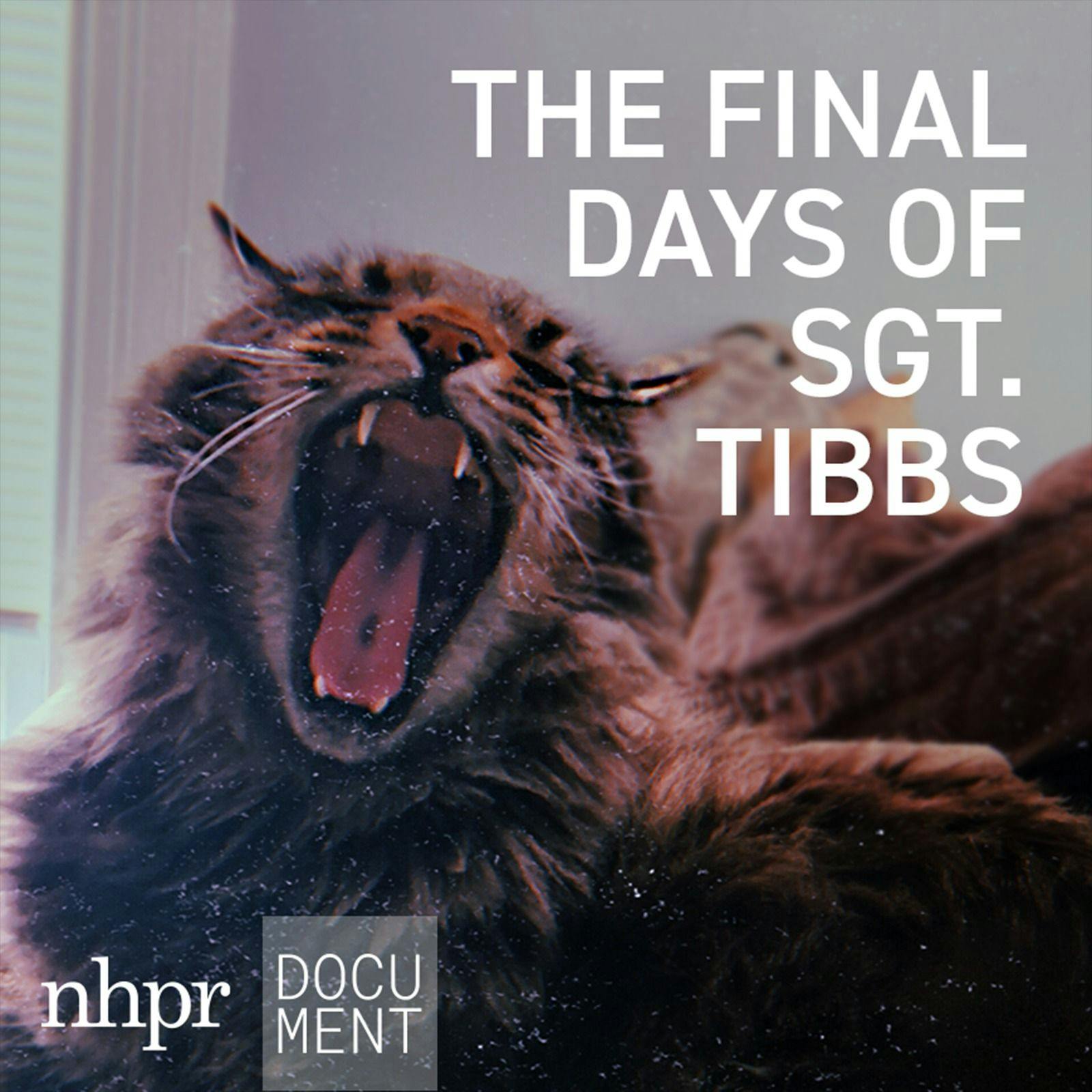 Introducing: The Final Days of Sgt. Tibbs Introducing: The Final Days of Sgt. Tibbs
