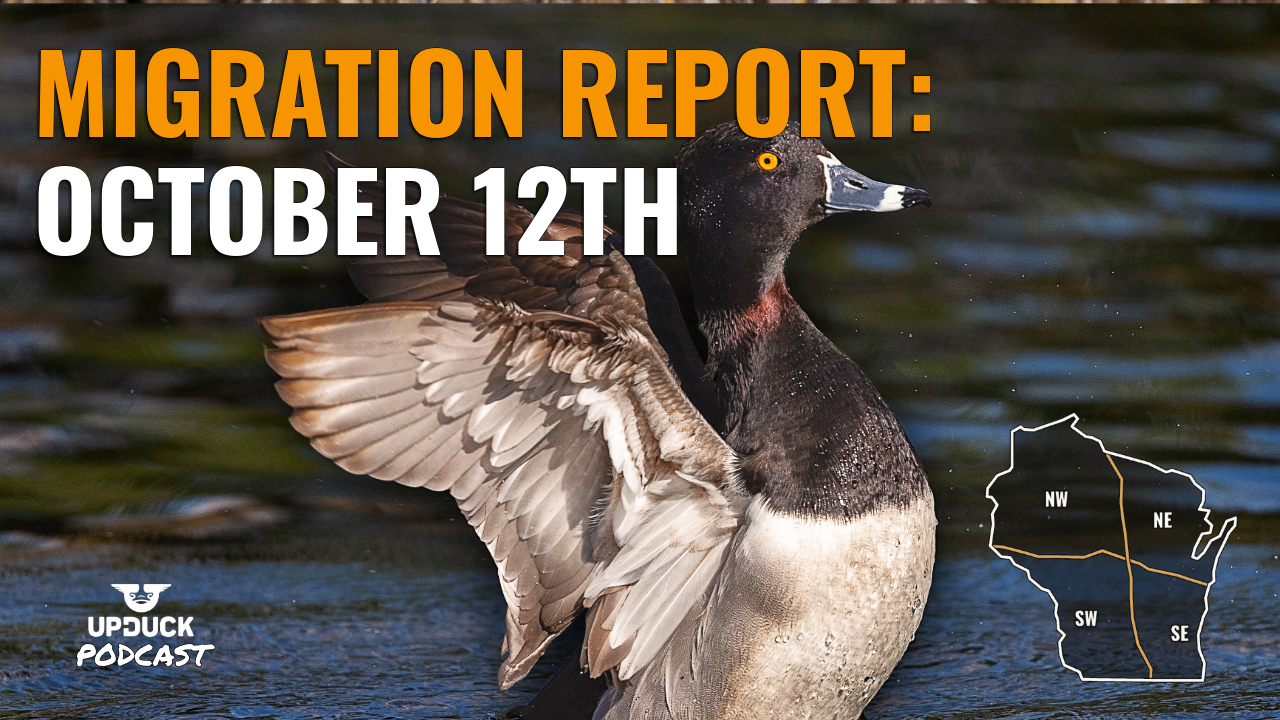 Migration Report: October 12th