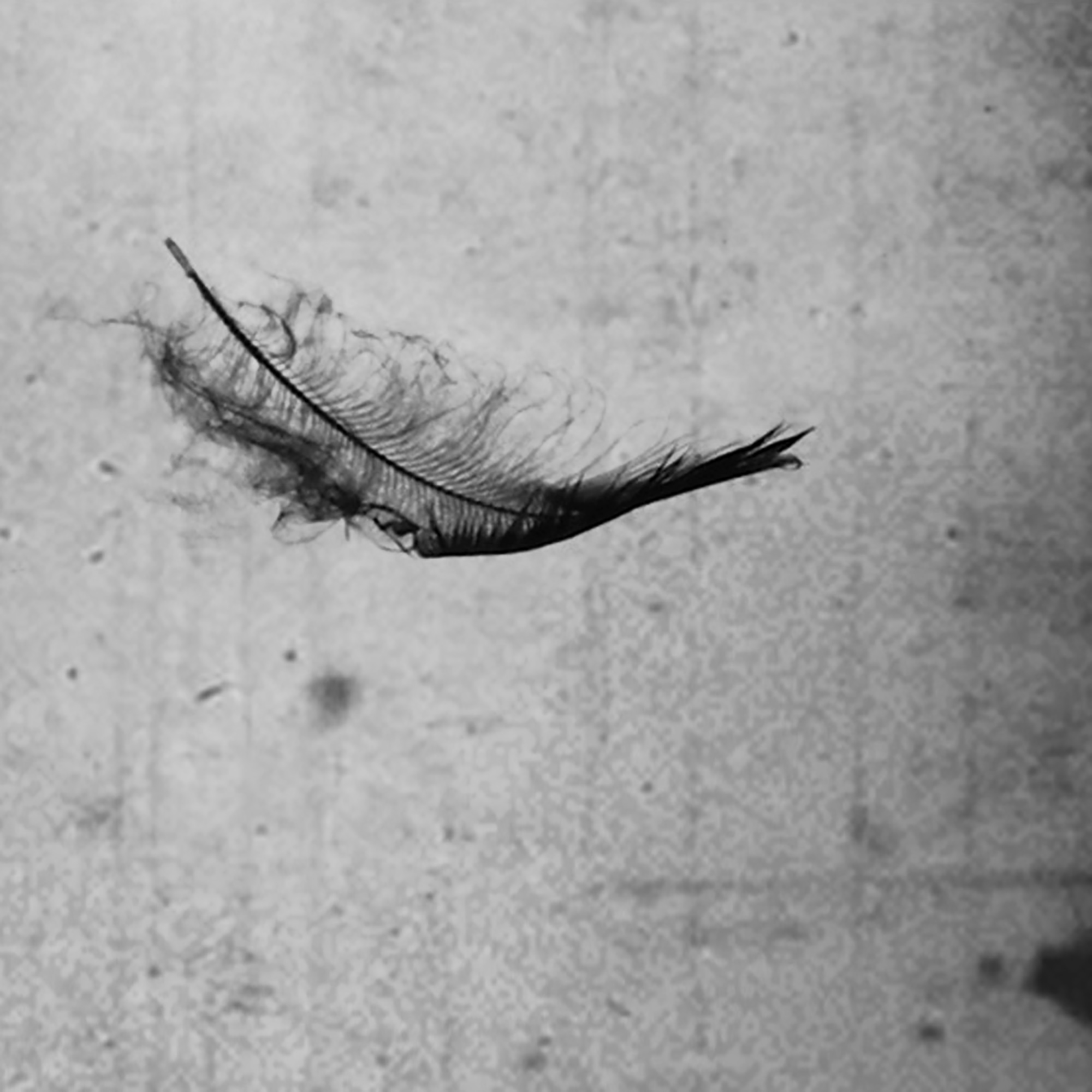 Thumbnail for "Commentary Track".