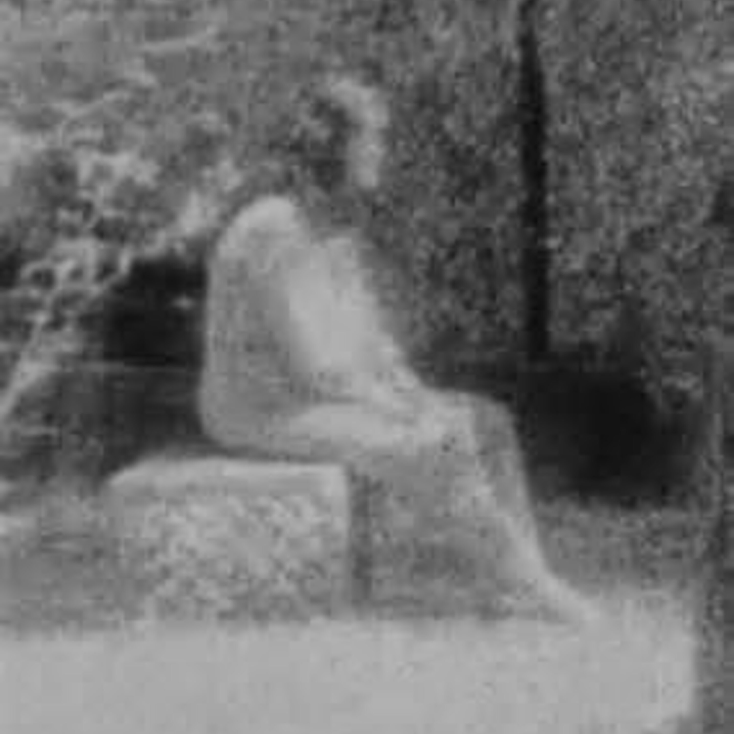 Paranormal Parasites & Grieving Ghosts