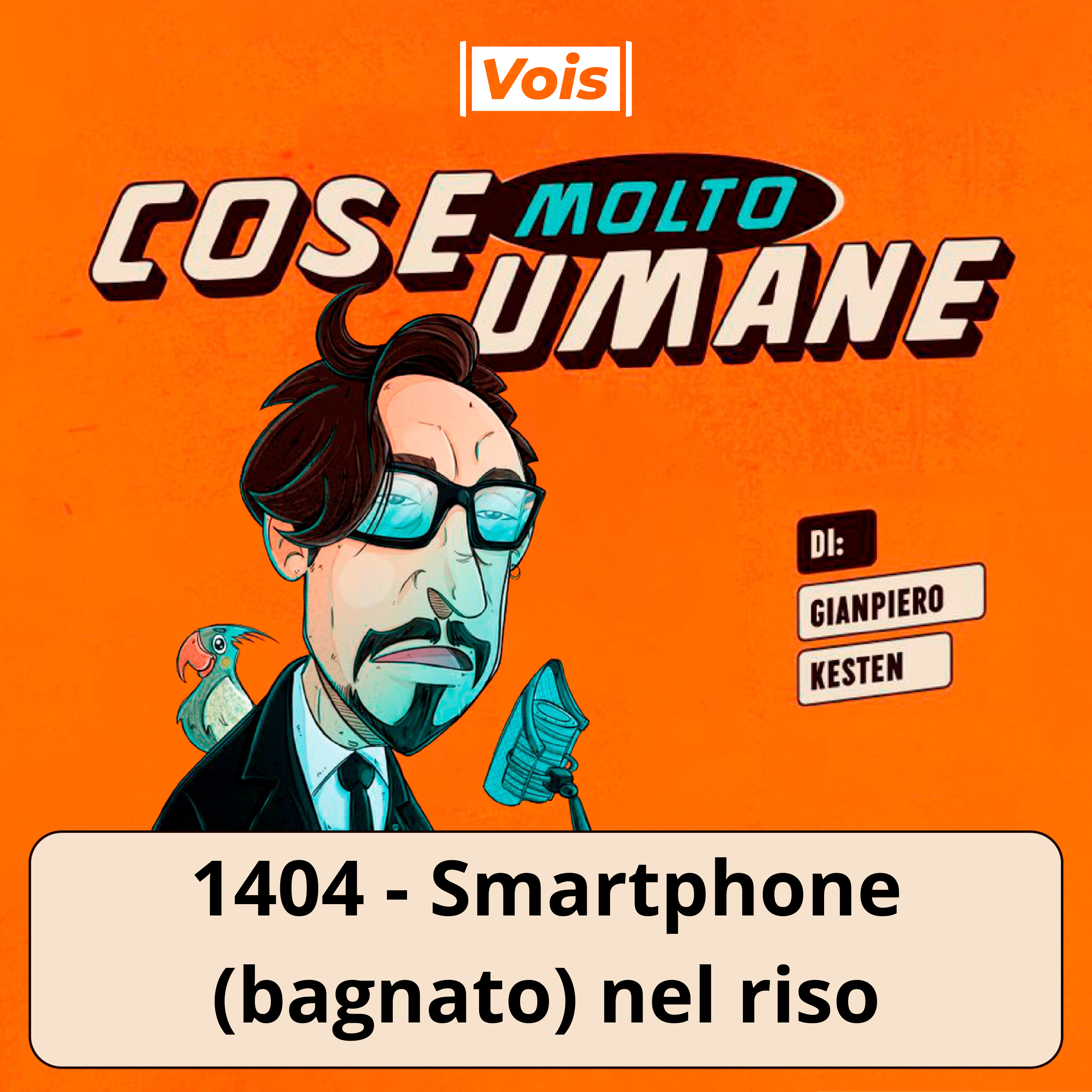 1404 - Smartphone (bagnato) nel riso