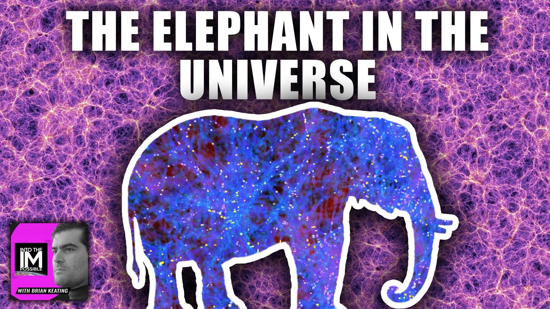 The Elephant In The Universe: Govert Schilling (#242)