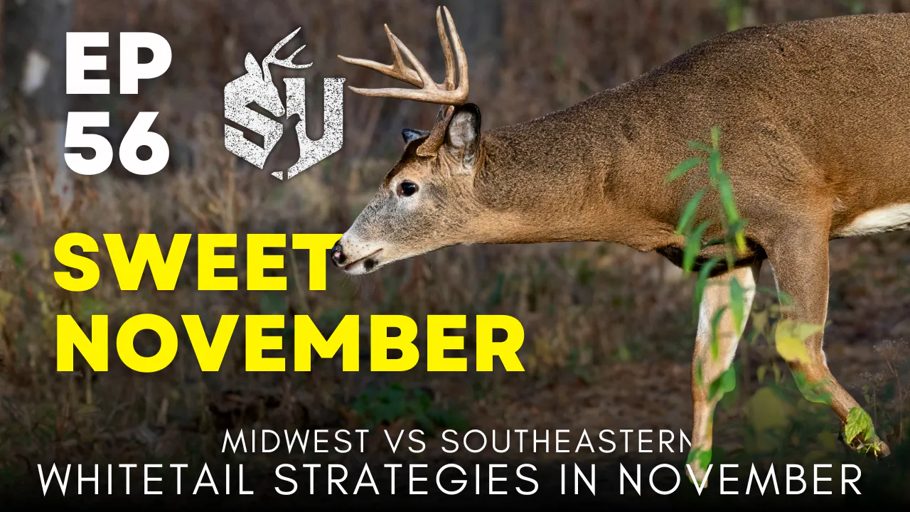 EP 56: Sweet November (Midwest vs. Southeastern Whitetail Strategies In November) episode artwork