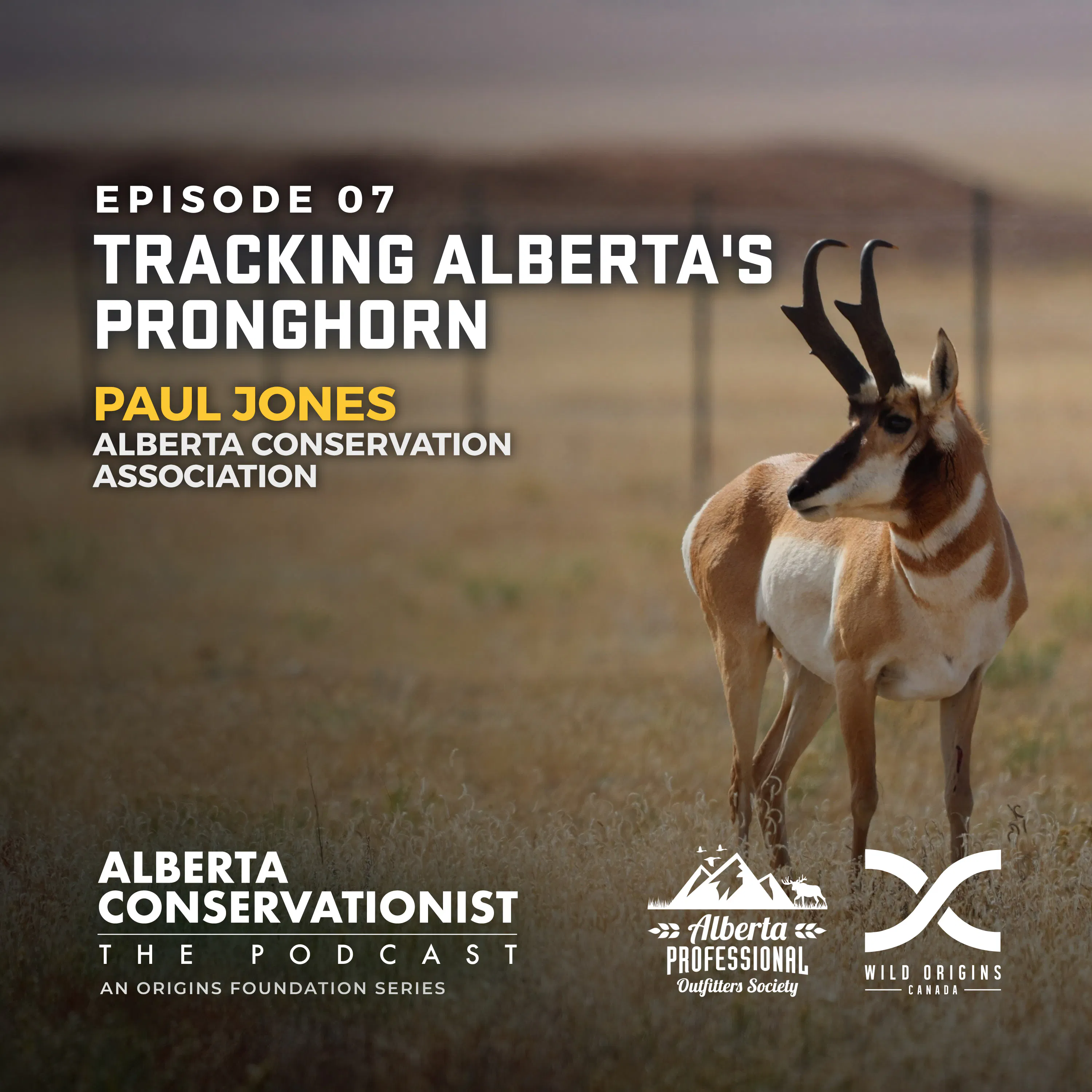 Tracking Alberta's Pronghorn || Ep. 7 episode artwork