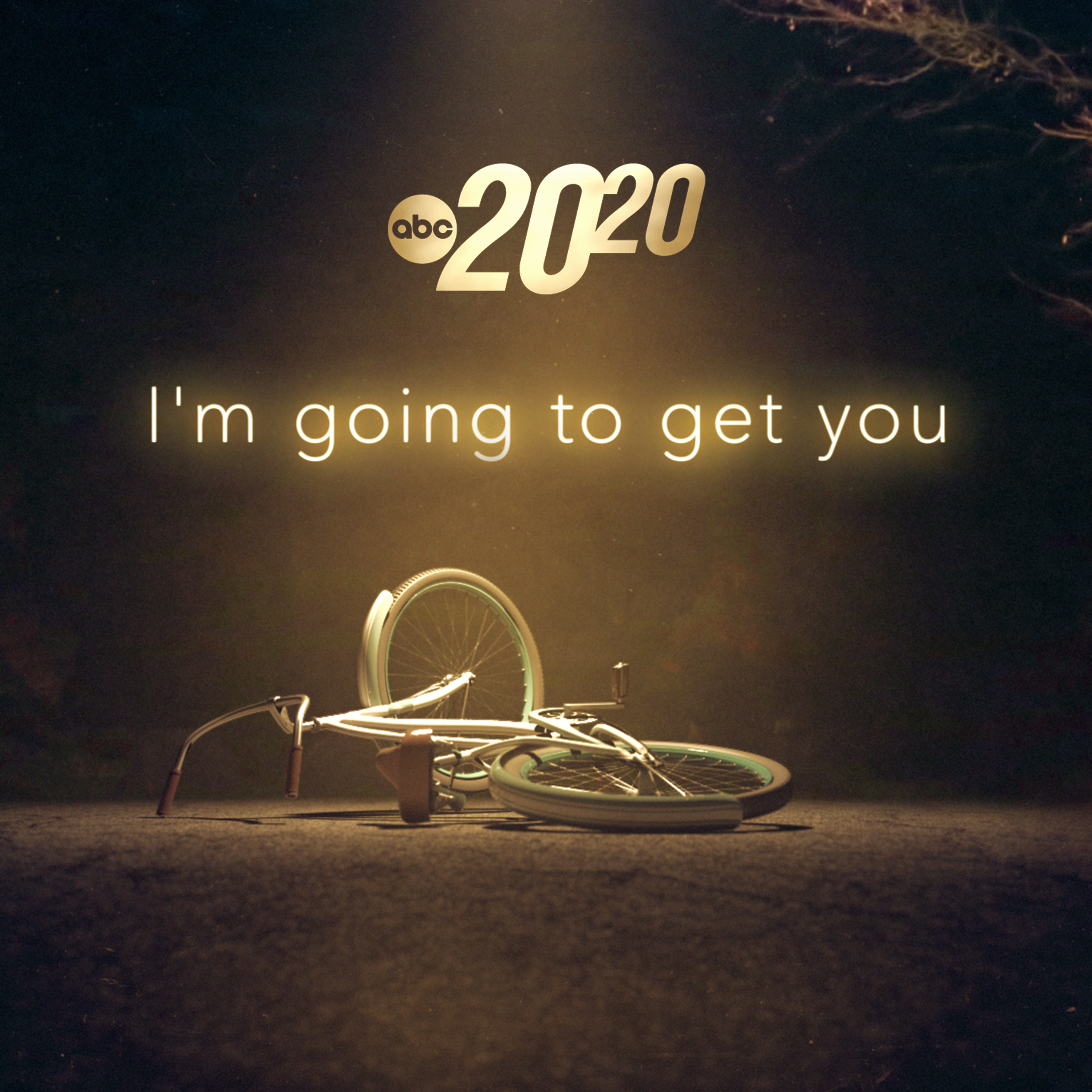 I'm Going to Get You (Rebroadcast)
