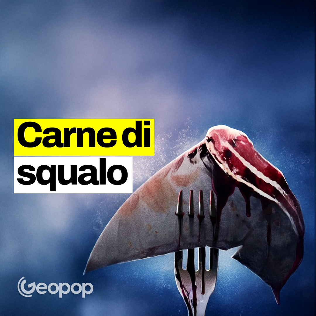 Geopop - Le Scienze nella vita di tutti i giorni