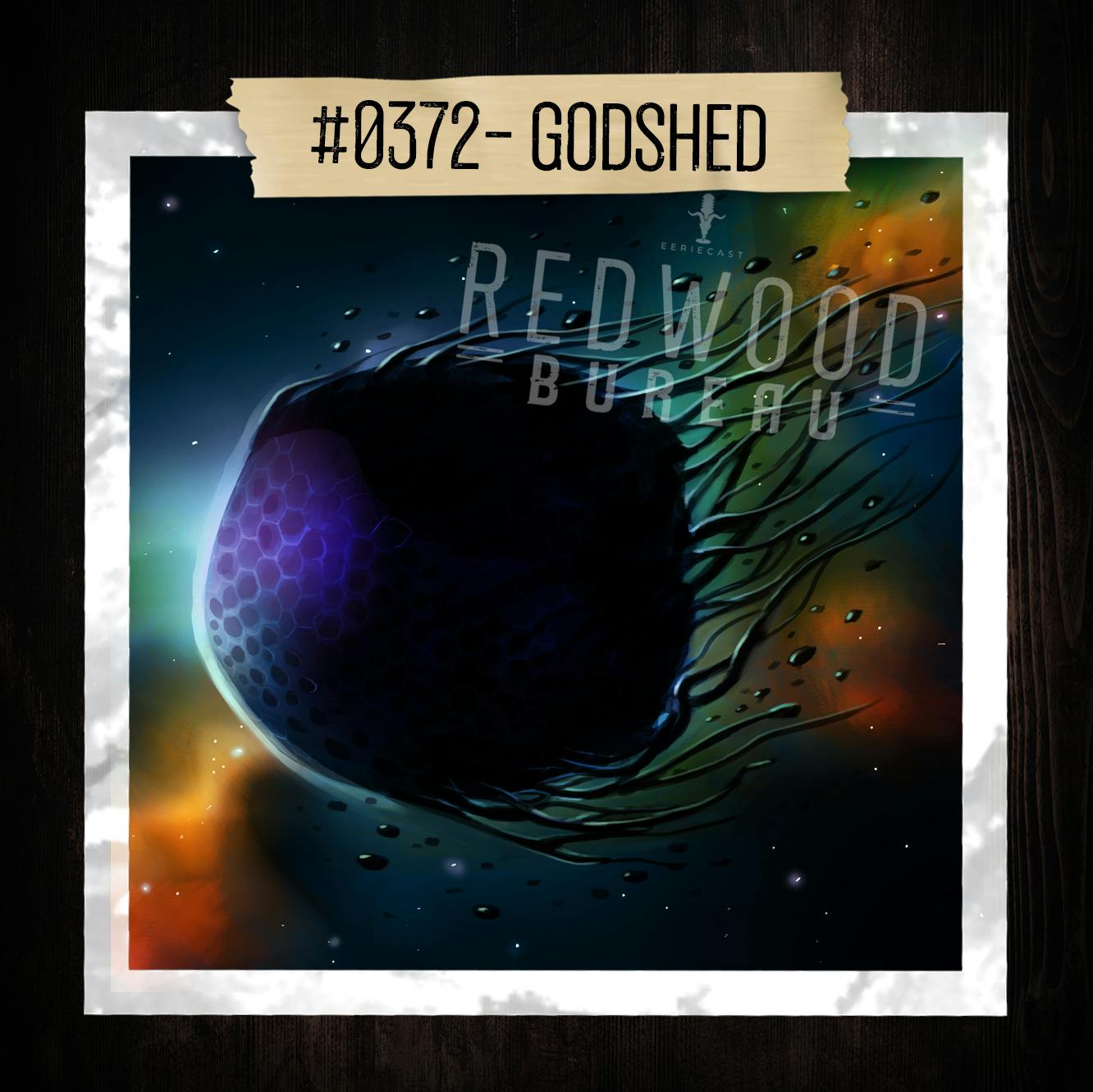 "GODSHED" - Redwood Bureau Phenomenon #0372