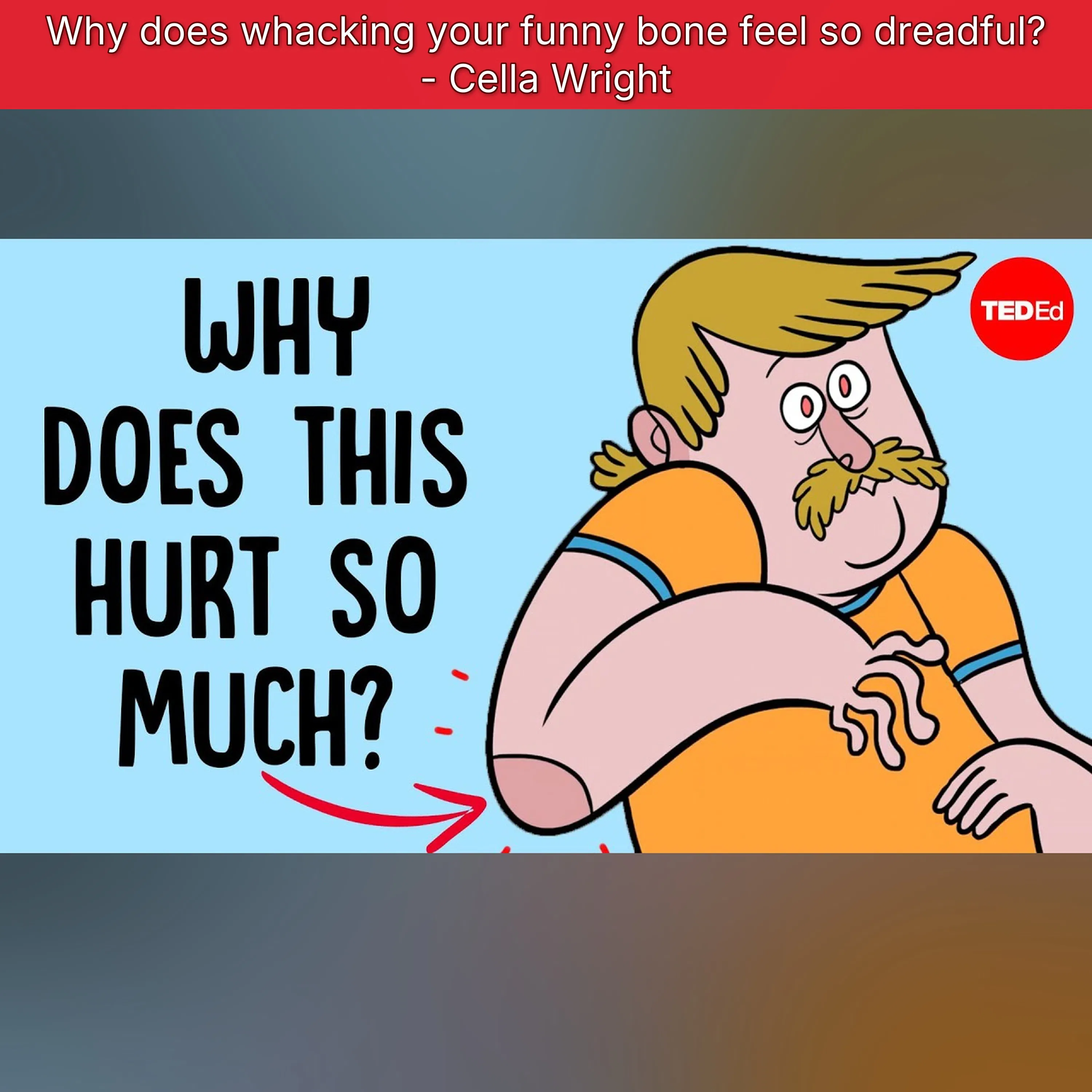 Artwork for TED-Ed