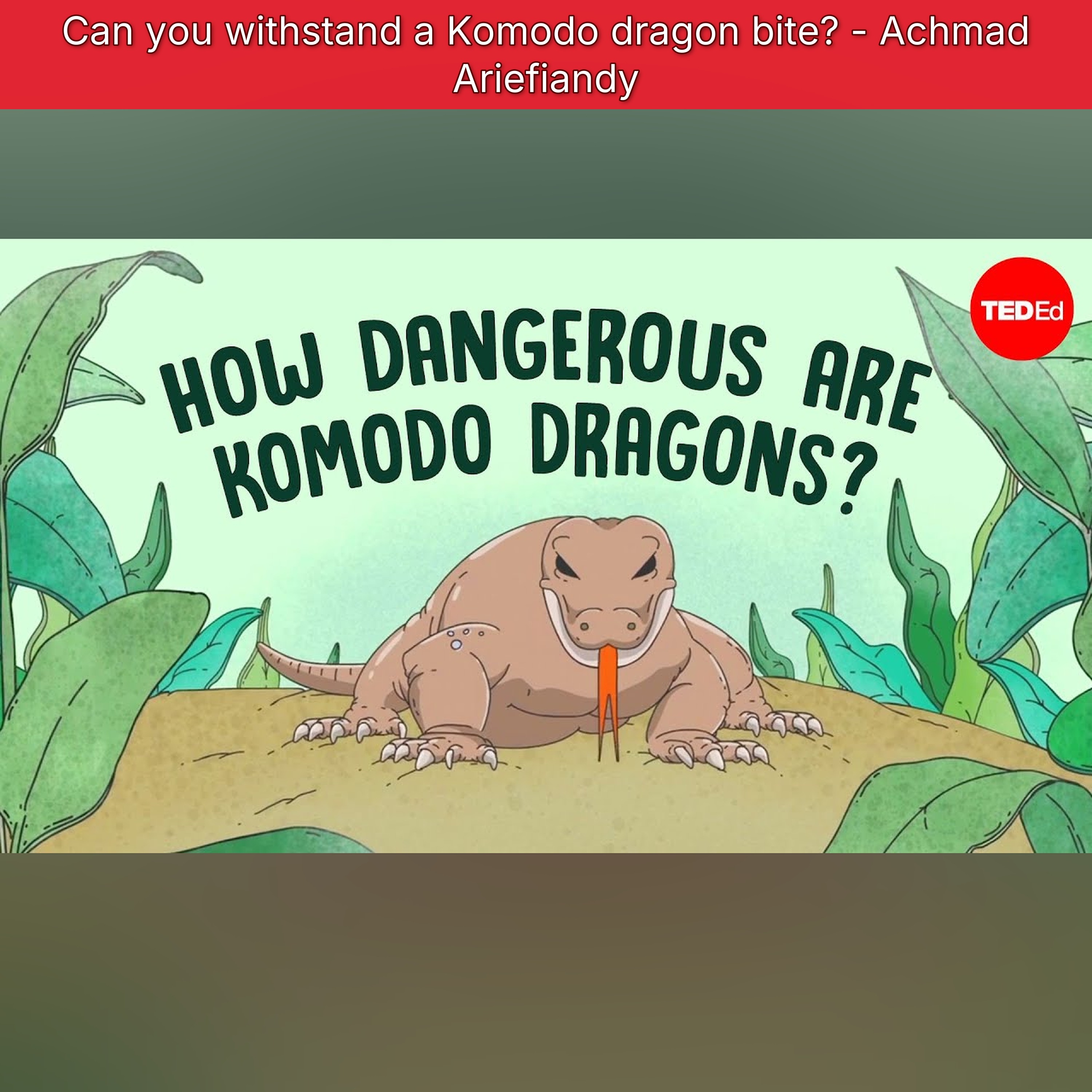 Can you withstand a Komodo dragon bite? - Achmad Ariefiandy episode artwork