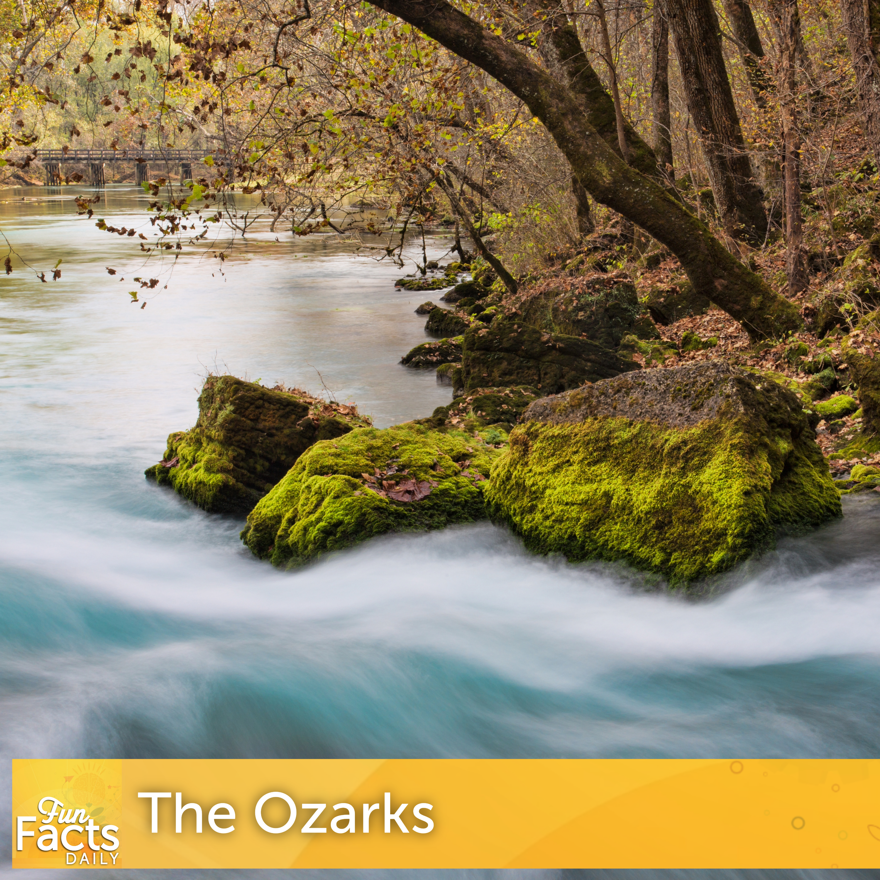 Fun Facts About the Ozarks episode artwork