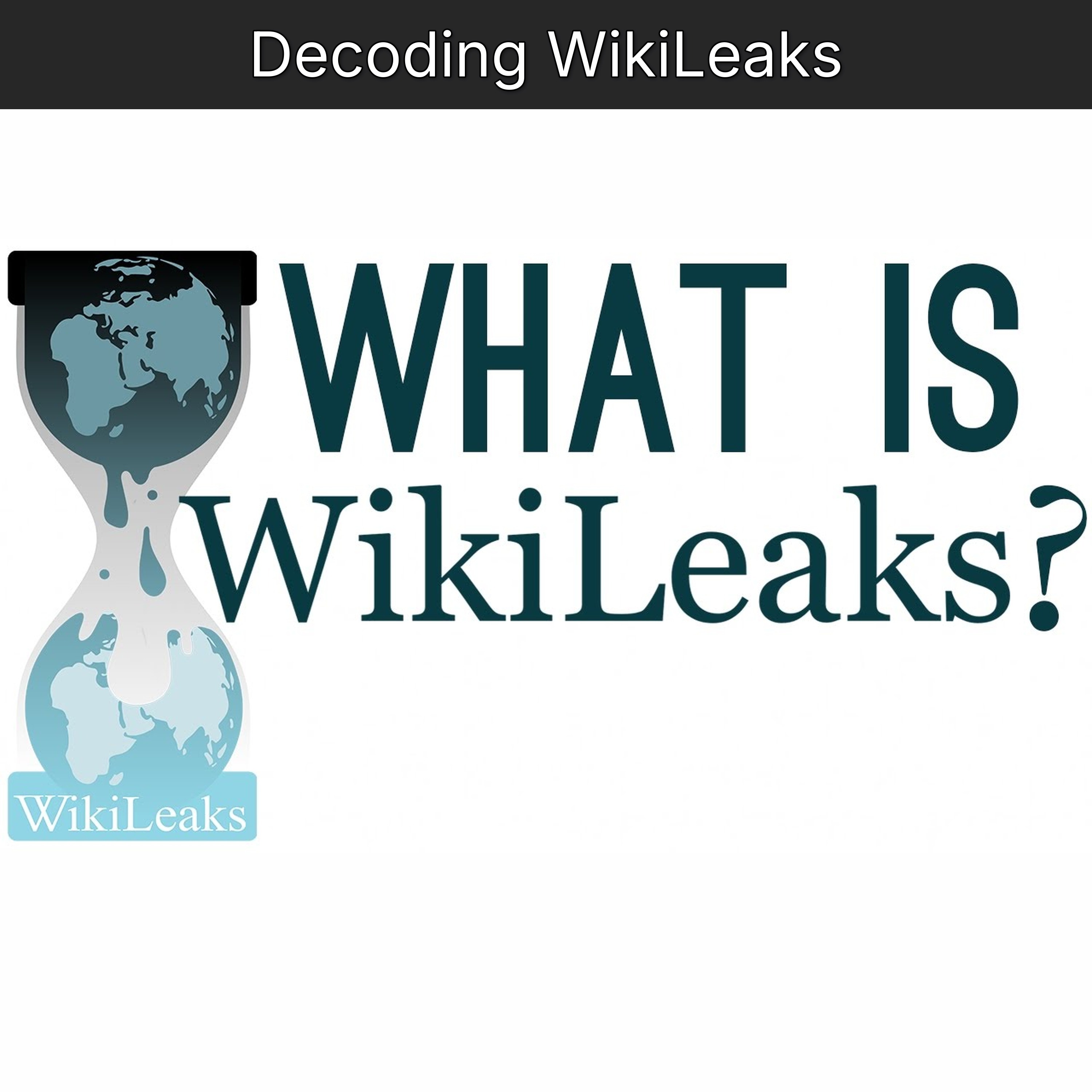 Decoding WikiLeaks