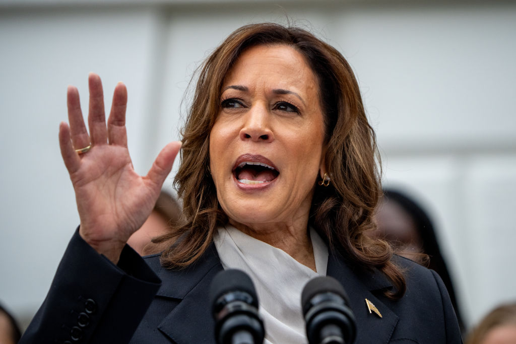 Biden exits, Kamala enters, Nancy rules all episode artwork
