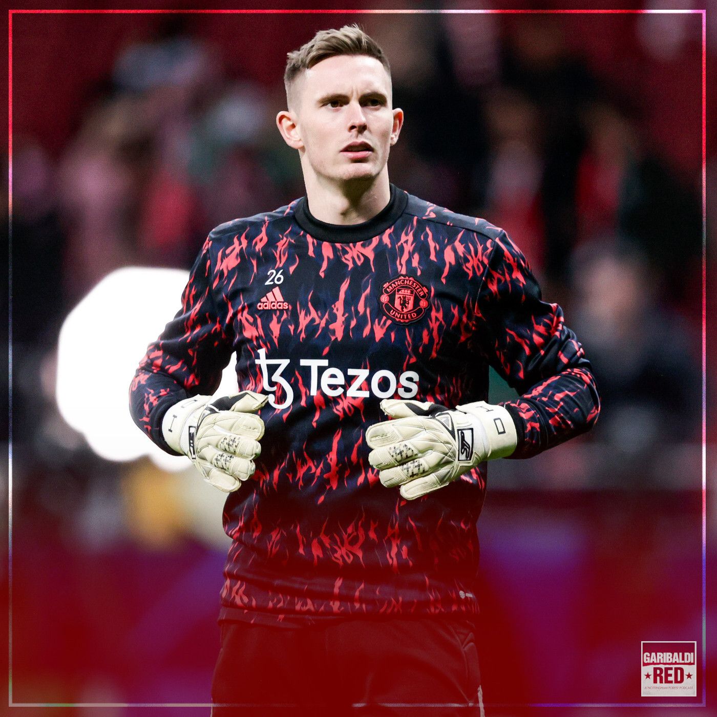 Garibaldi Red Podcast | HENDERSON LATEST AND FIXTURES VERDICT episode artwork