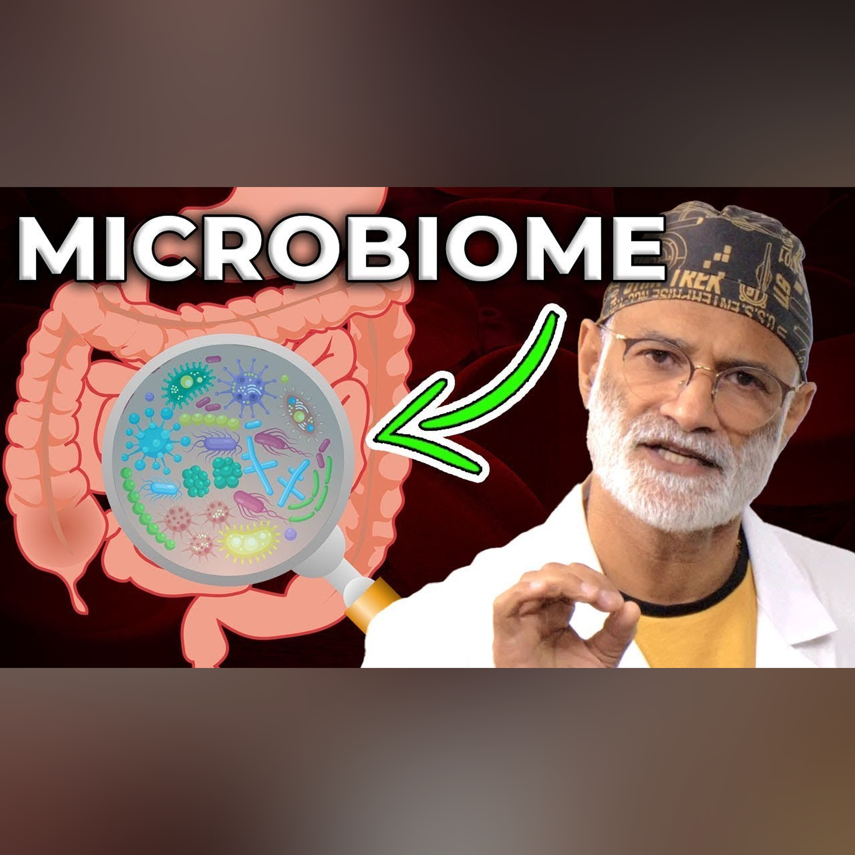Where Did Our Gut Bacteria Come From? - Revealing the Origins of Our Microbiome episode artwork