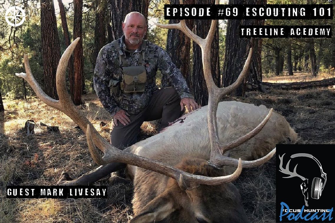Episode #69 E-scouting 101  Treeline Pursuits with Mark Livesay