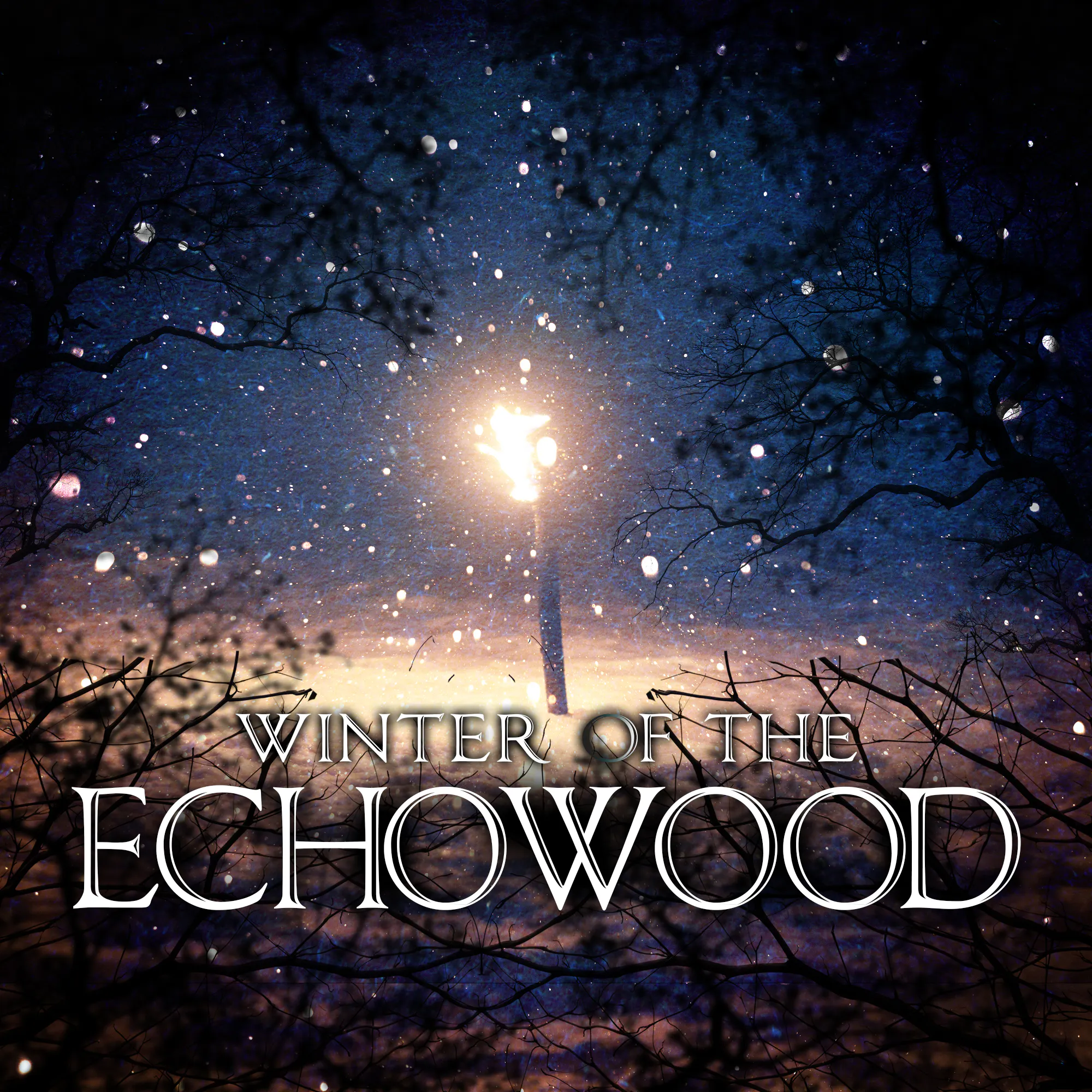 Special 1: Winter of the Echowood episode artwork