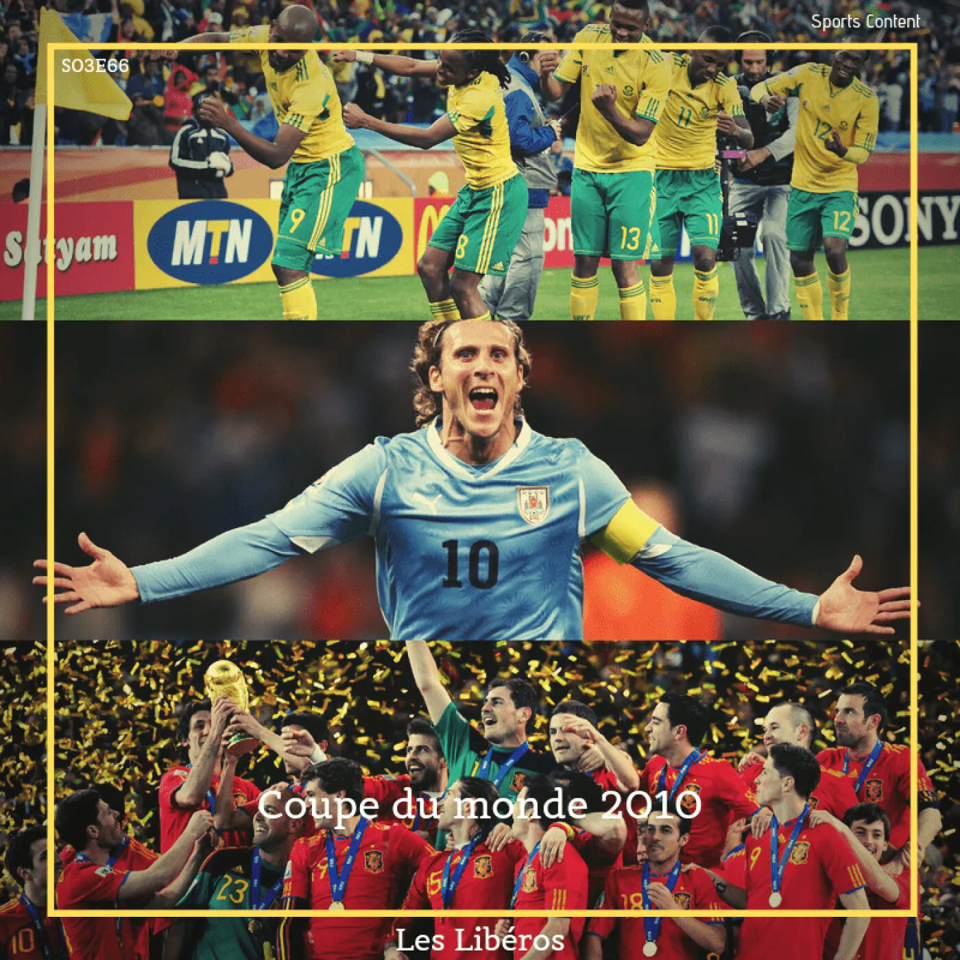 Le récit de la Coupe du monde 2010