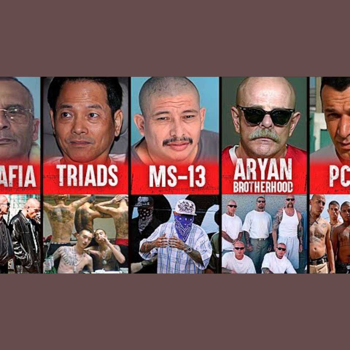 In den gefährlichsten Banden der Welt: Einmal Mitglied – für immer gefangen