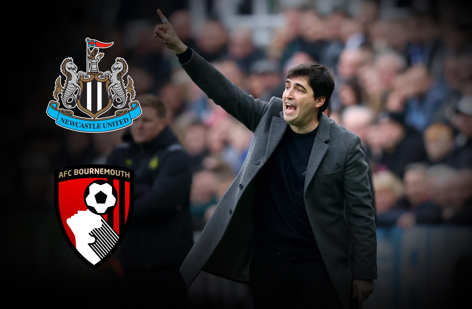 Back Of The Net - The AFC Bournemouth Podcast