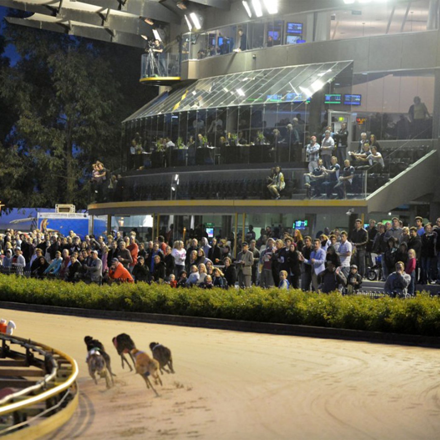 Troy Iwanyk All roads point to The Meadows Saturday night for the Group 1 Australian Cup episode artwork